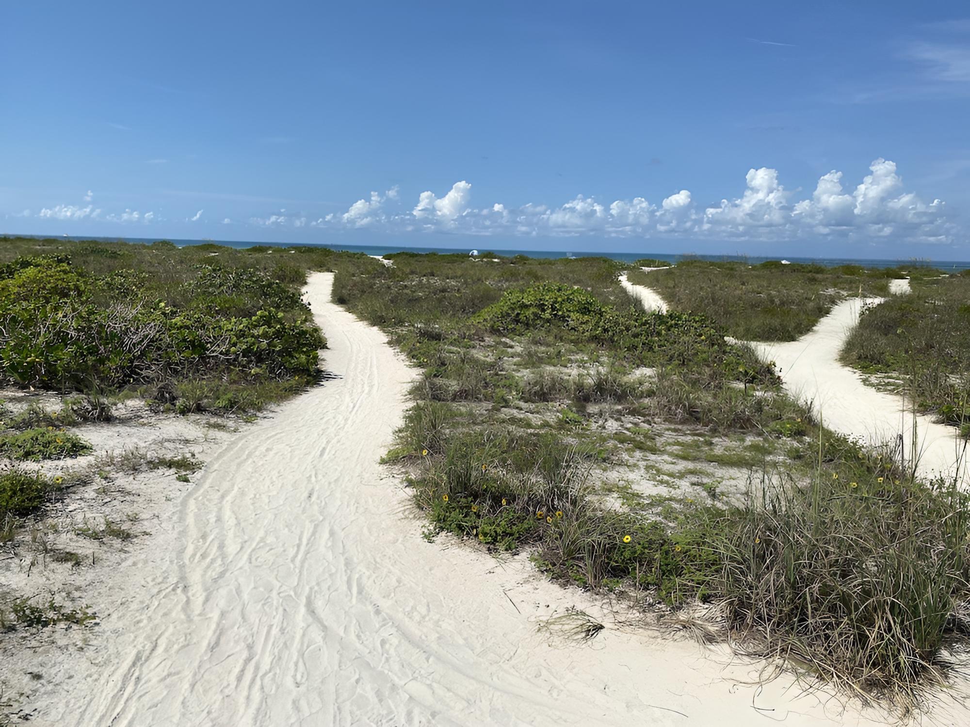 Tropical Winds Motel & Cottages
