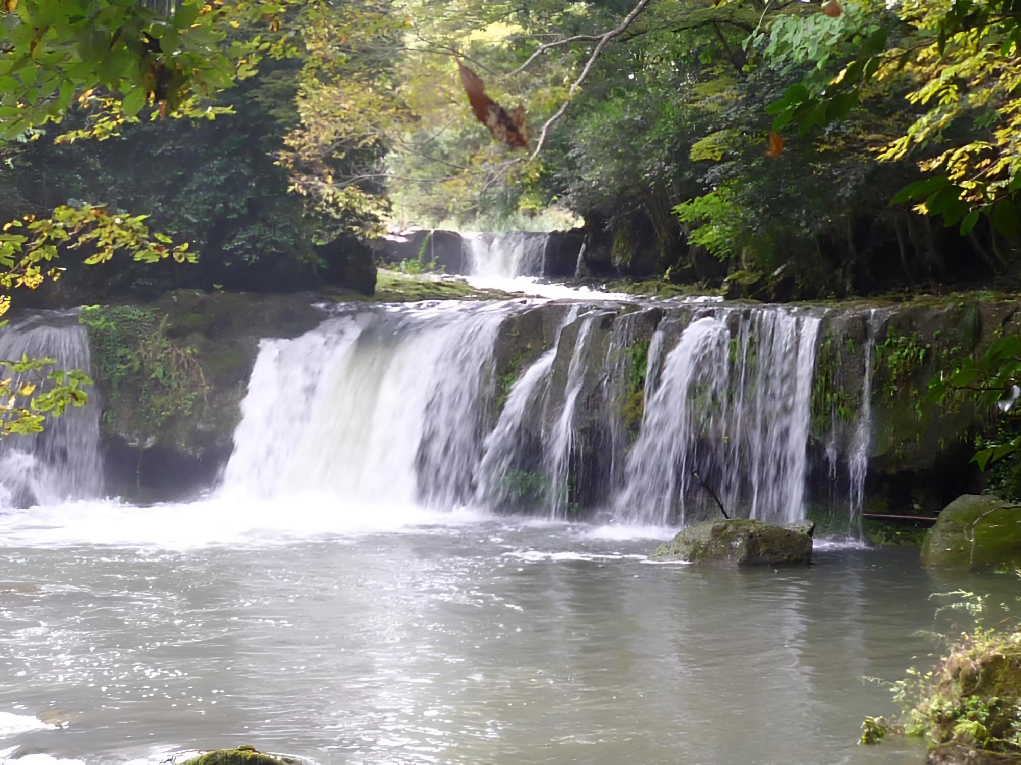 Nashikisou