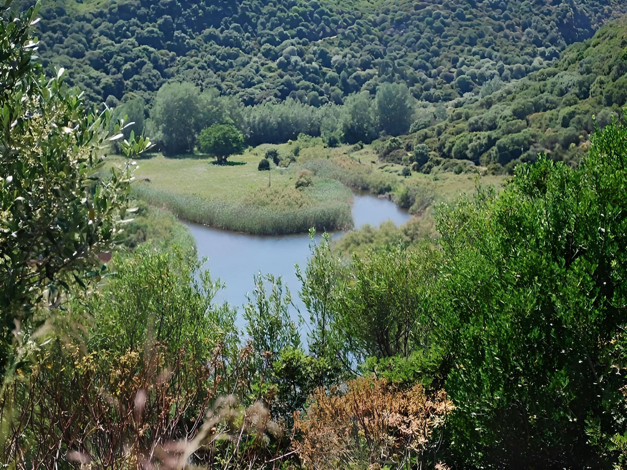 Agriturismo Gulunie a 800 mt dal mare