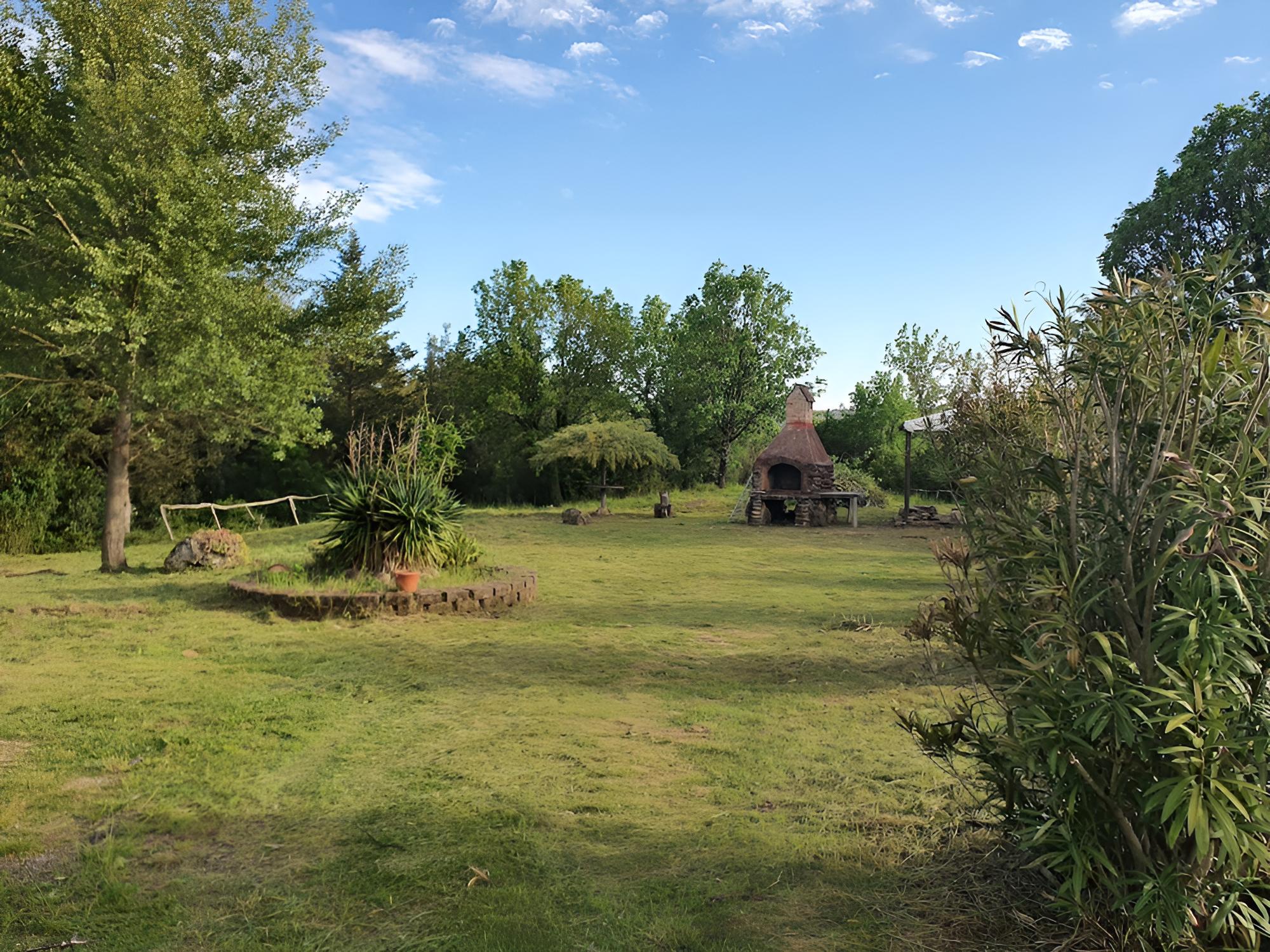 Photo 19