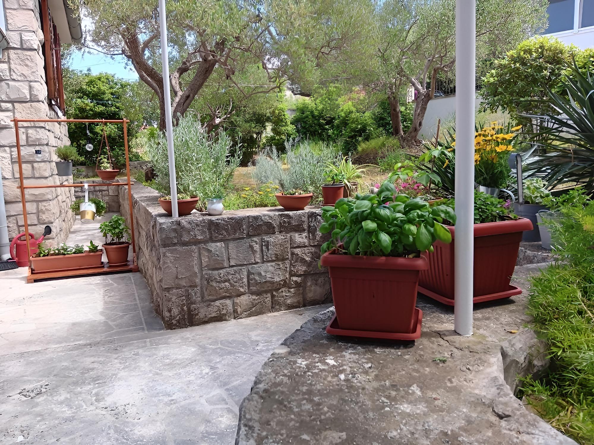Olive - 150 m From sea - H