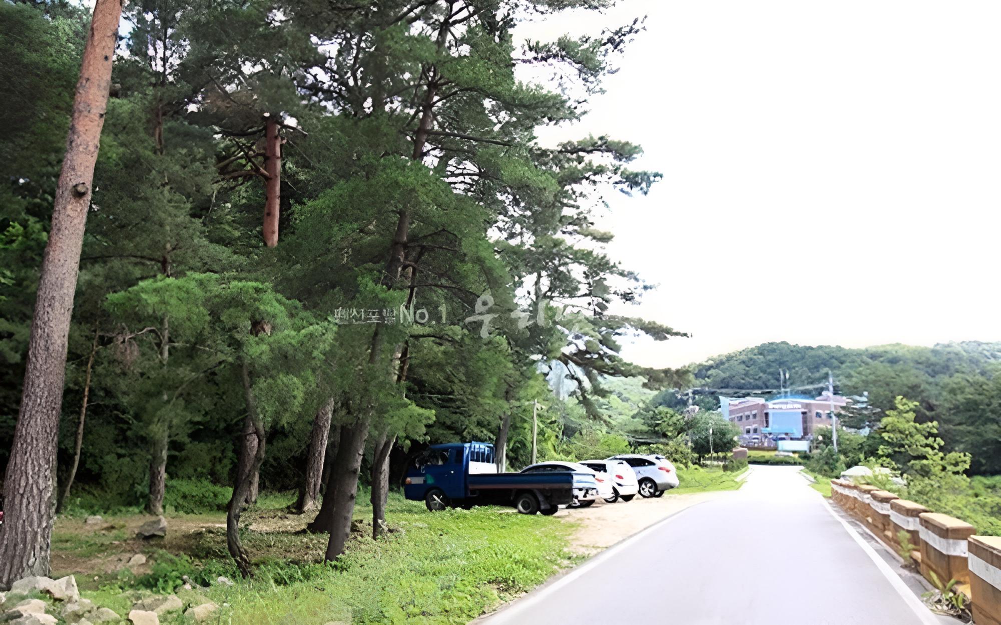 Donghae Suwonji Pension view 3