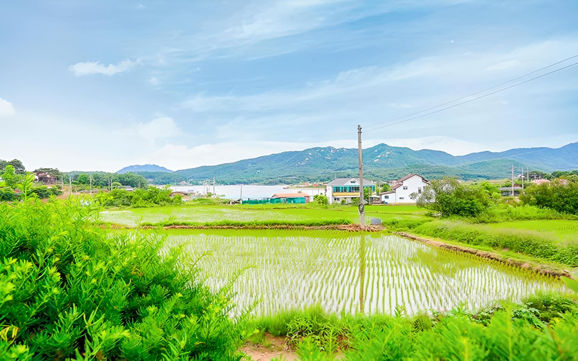 Ganghwado Maeumui Jeongwon Pension