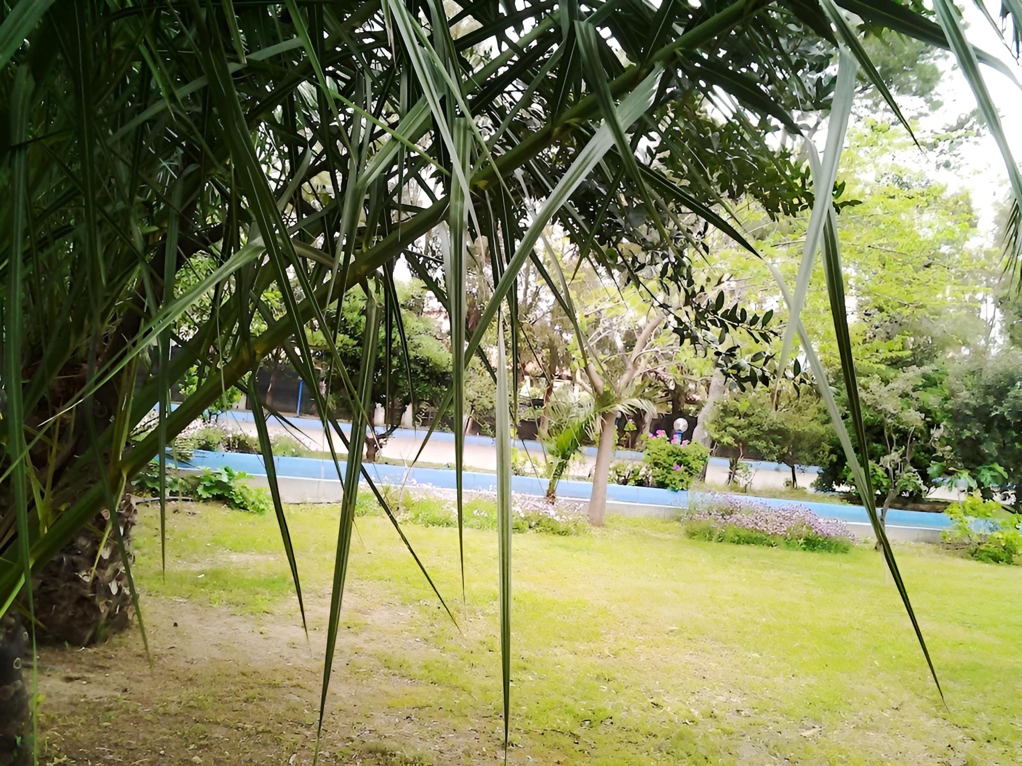 Hotel Corallo