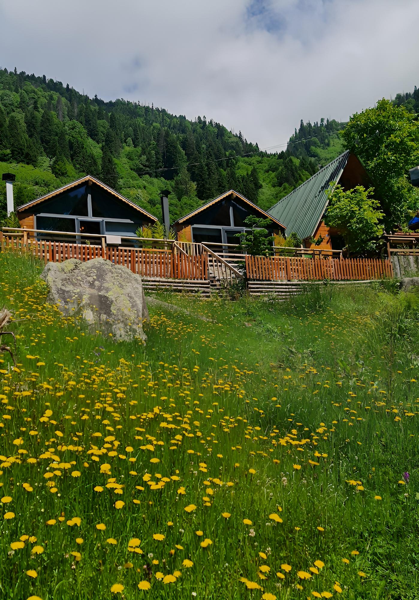 Ayder Yayla Bungalov