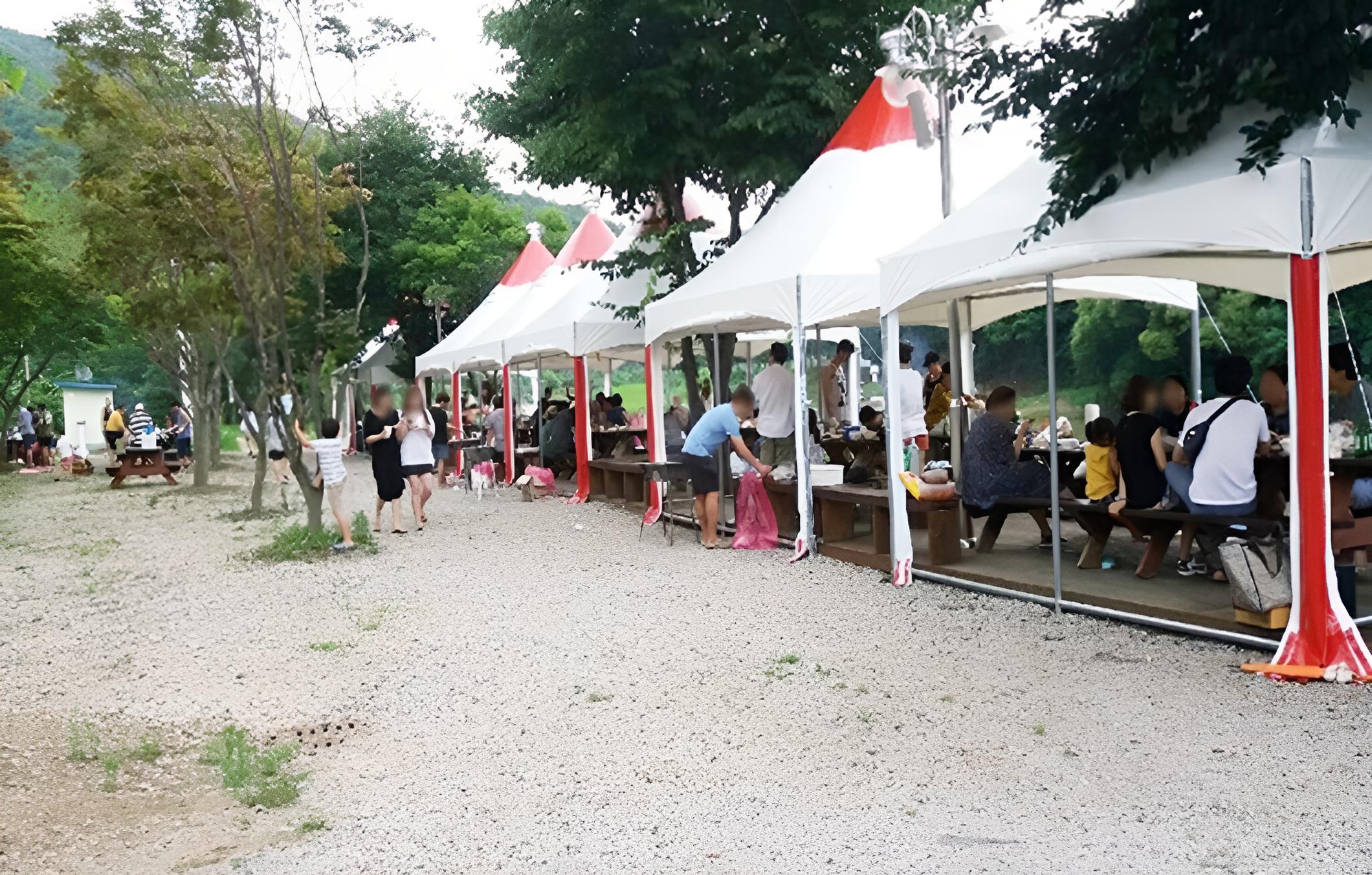 Cheongju Geumgwansup Byeoljang Pension