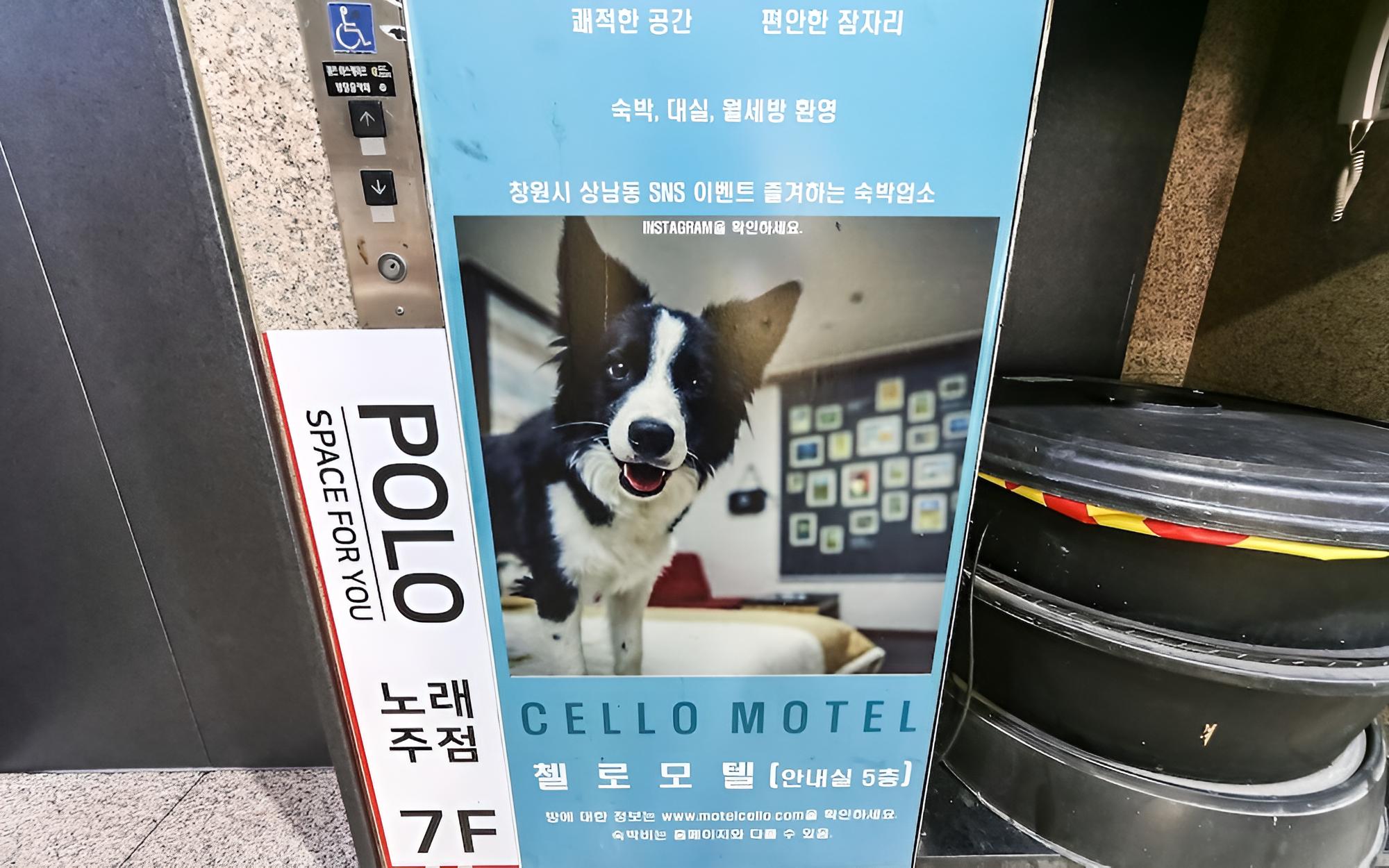 Changwon Sangnam-dong Cello view 5