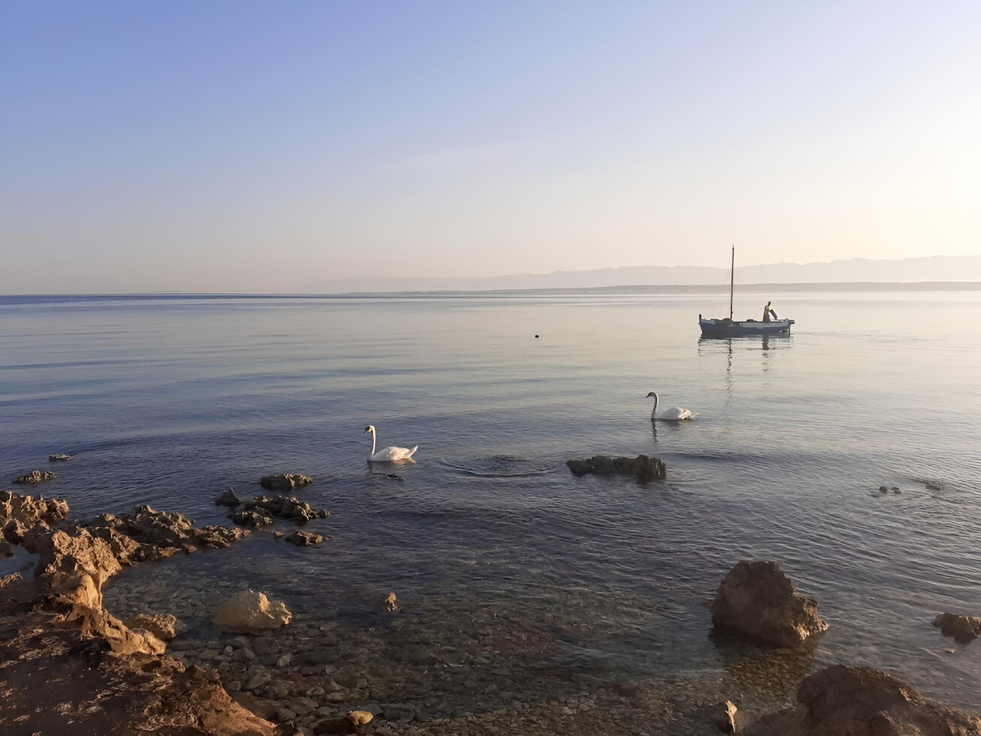Brane - Charming and Close to the sea - SA1