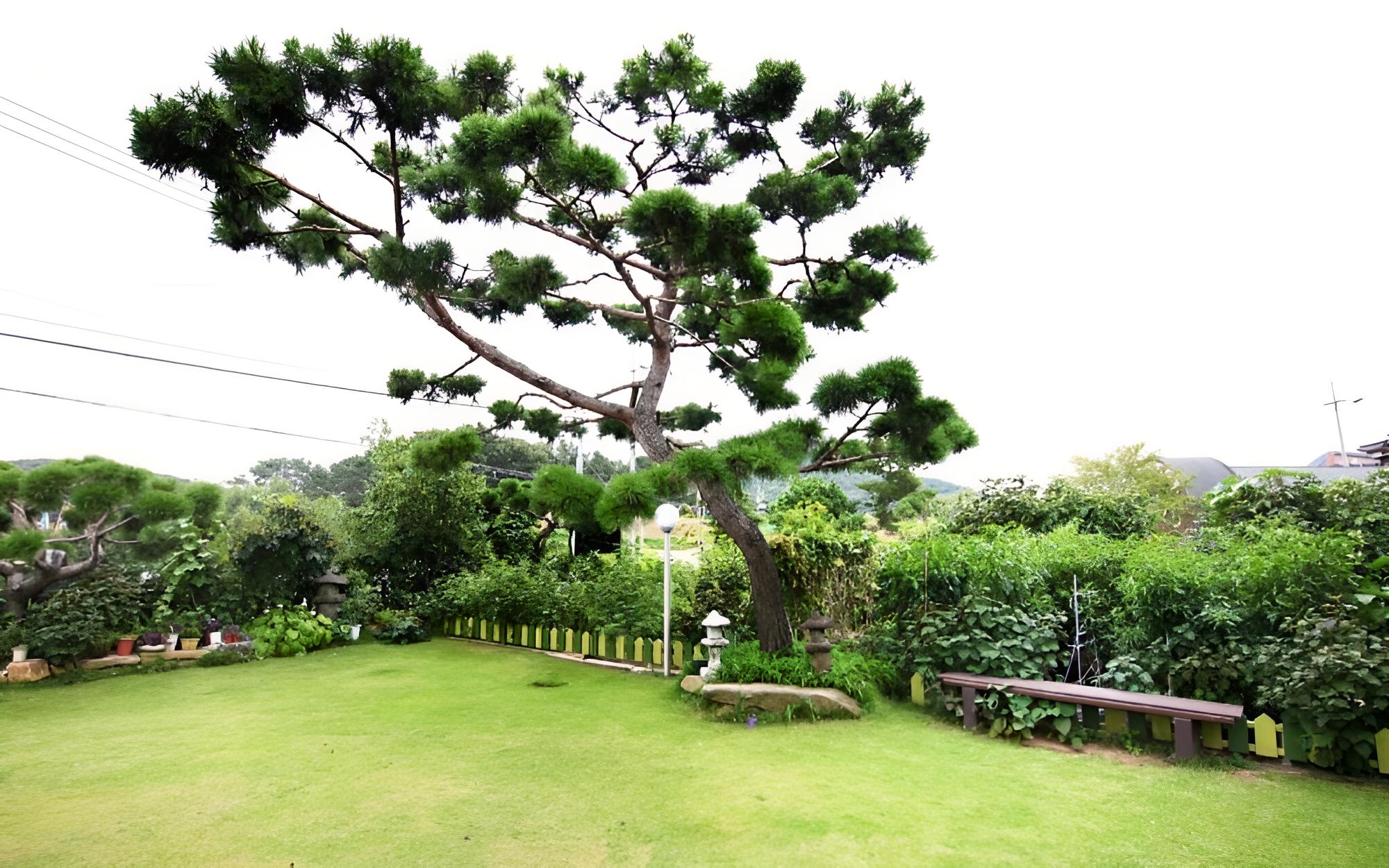 Photo 43
