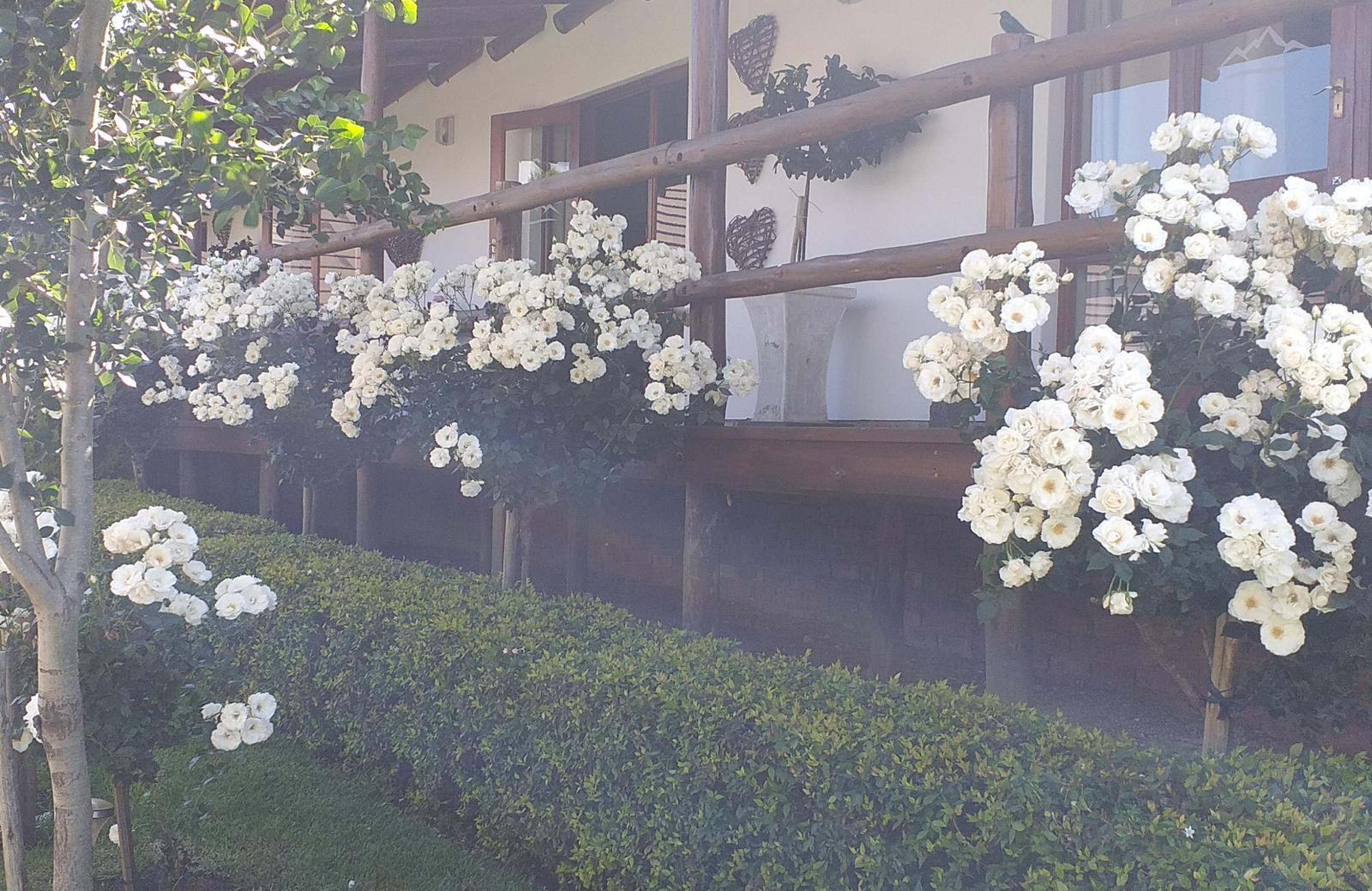 Mountain View Lodge, photo 6