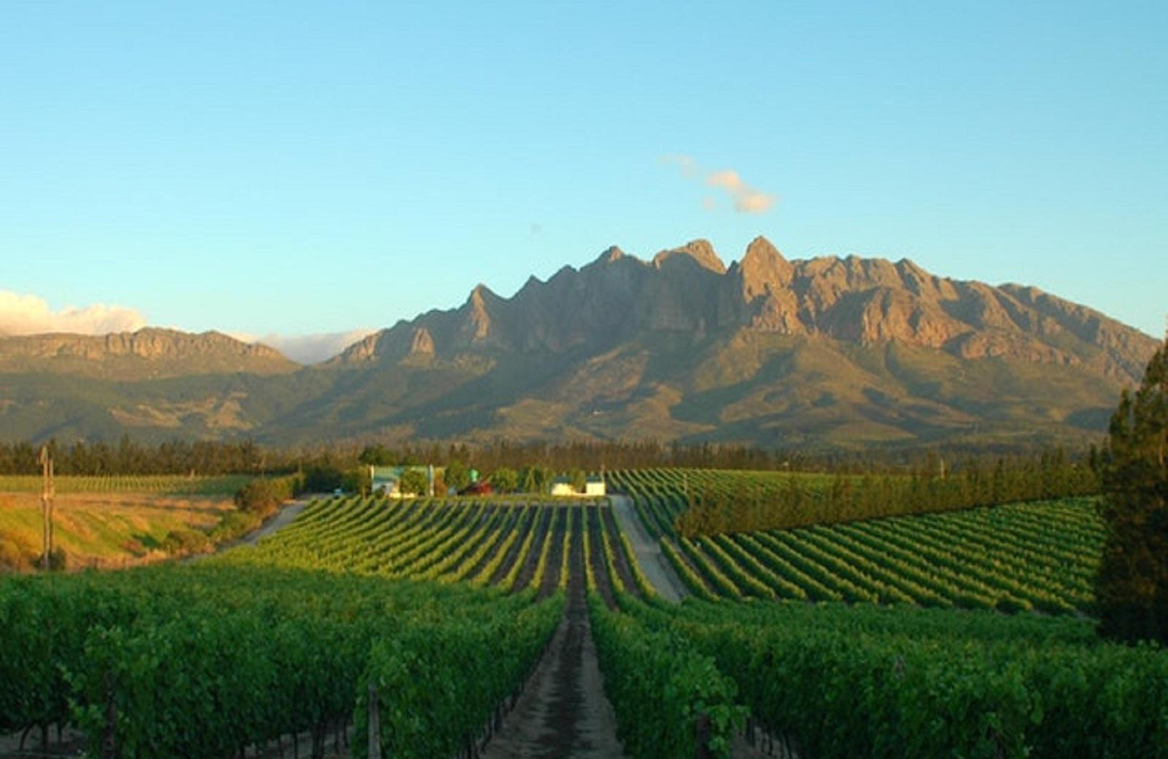 5 Mountains Lodge, photo 3