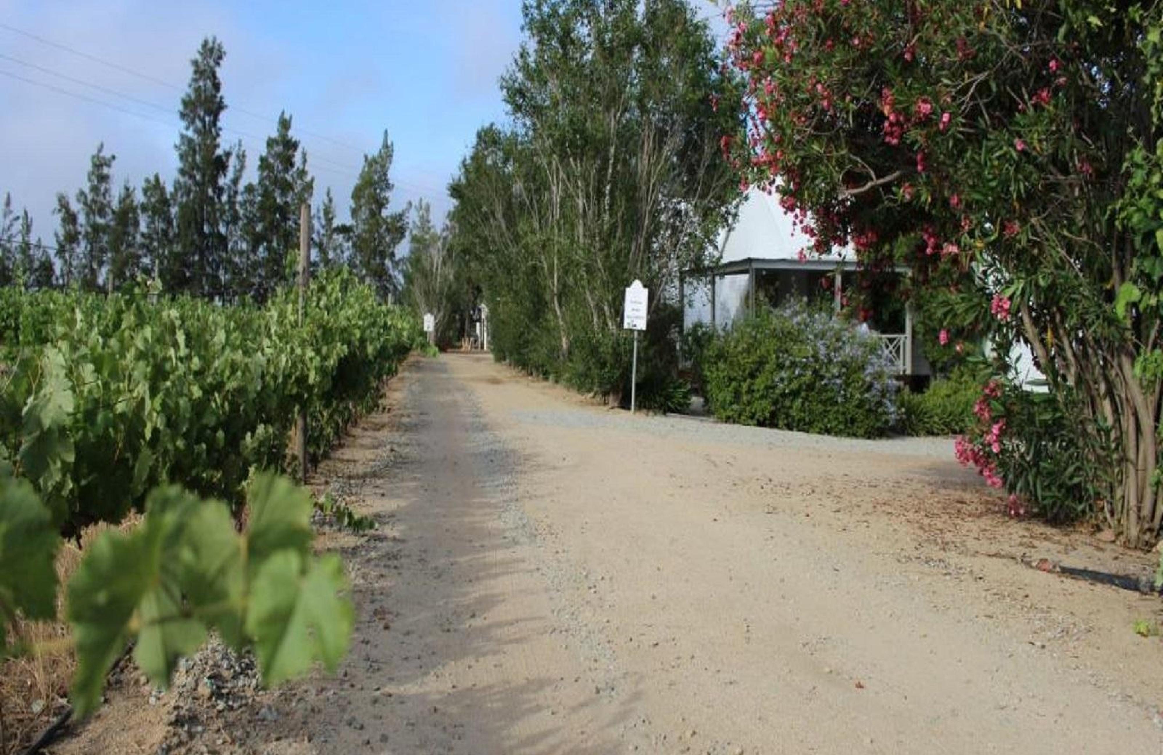 5 Mountains Lodge, photo 10
