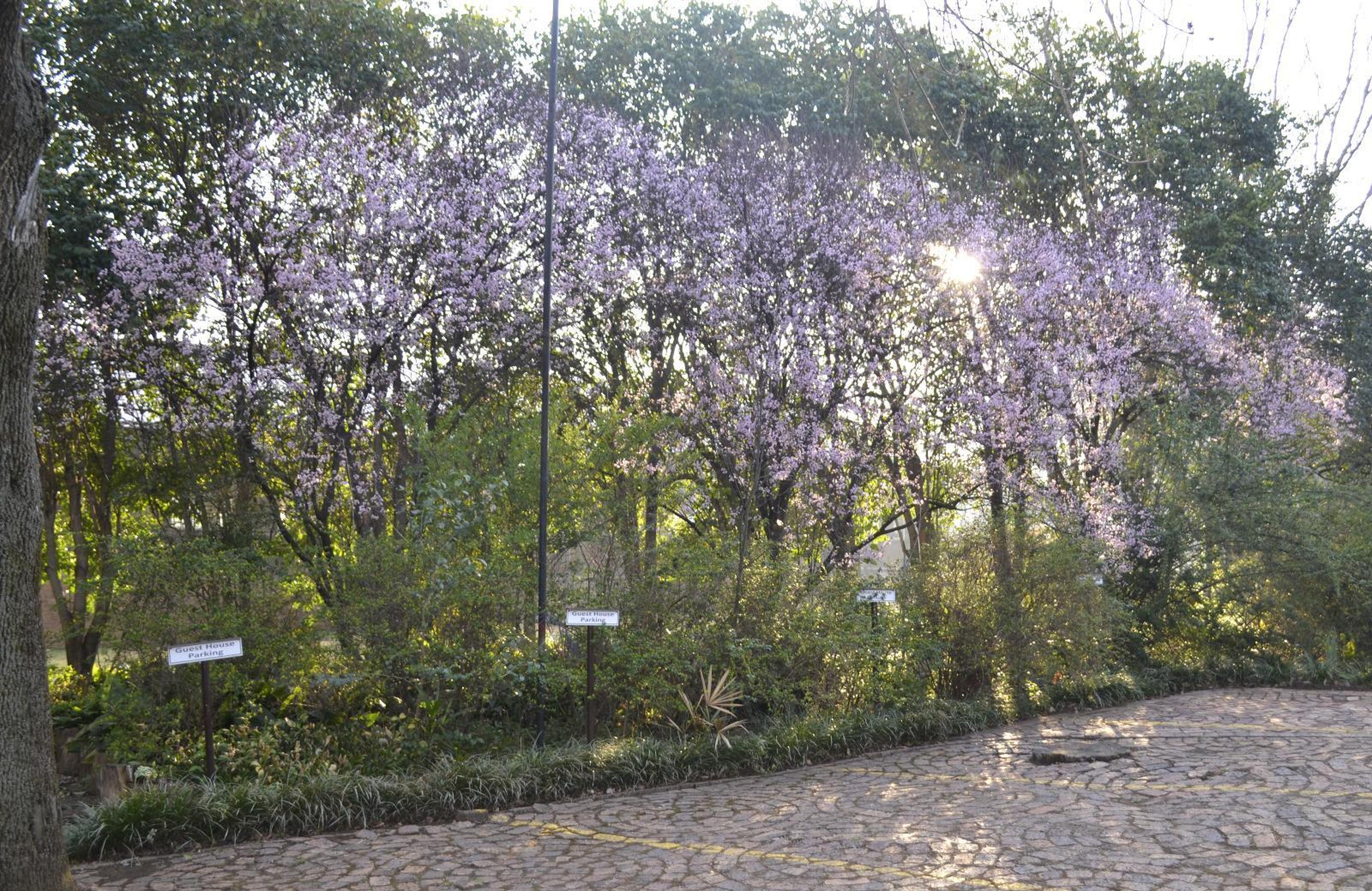 Klip River Country Estate, photo 10