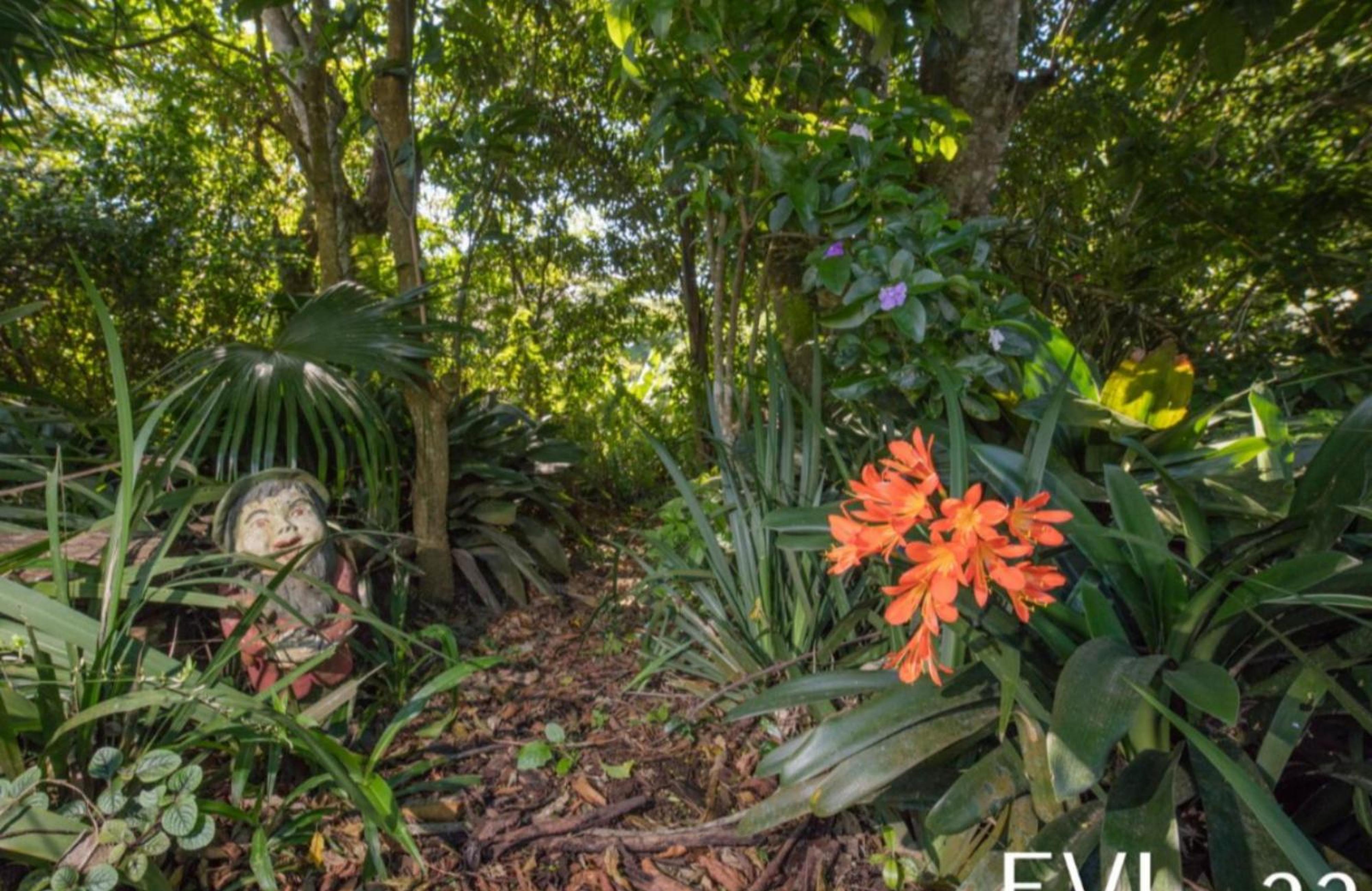 Forest View Lodge, photo 5