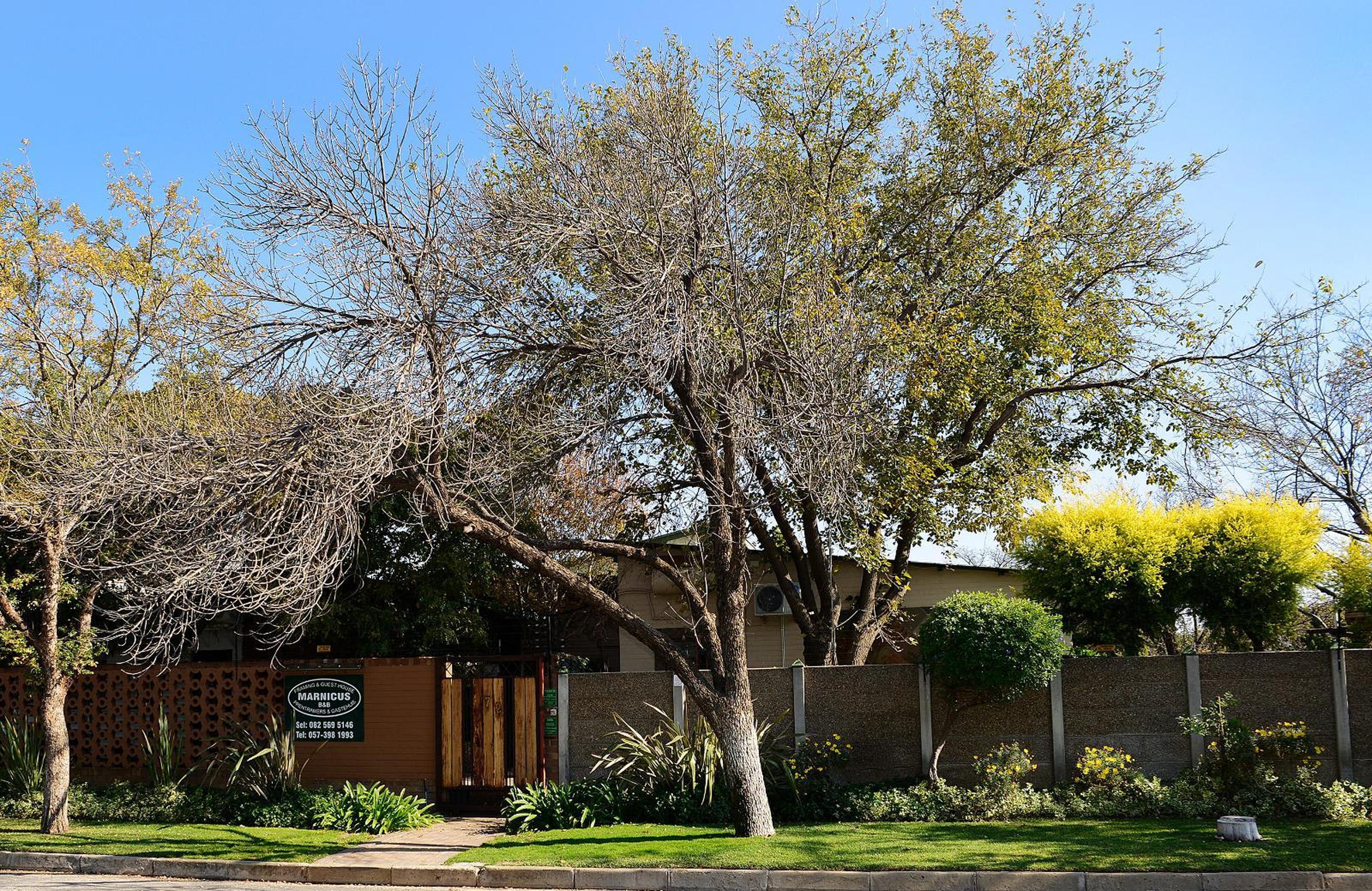 Marnicus B&B, photo 13