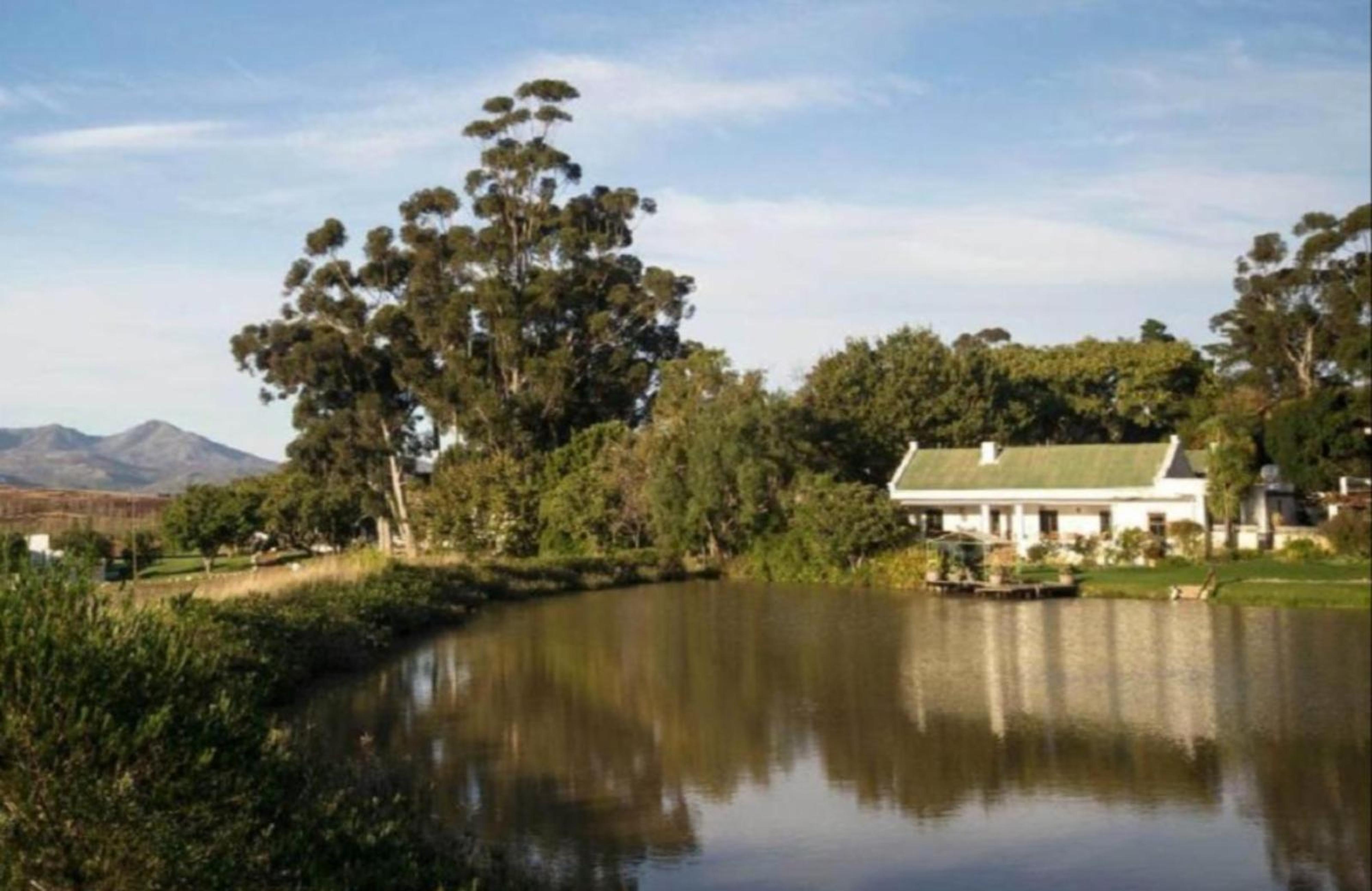 Beaumont Wines Accommodation, photo 3