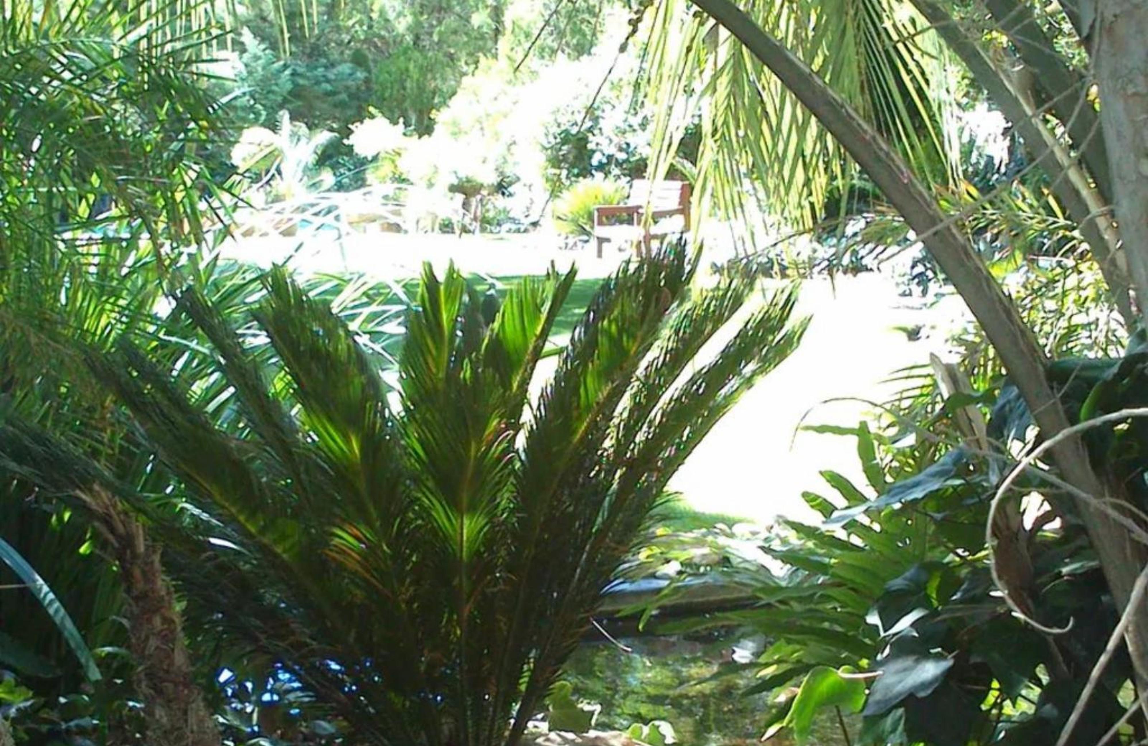 Serenity Green Guesthouse, photo 7