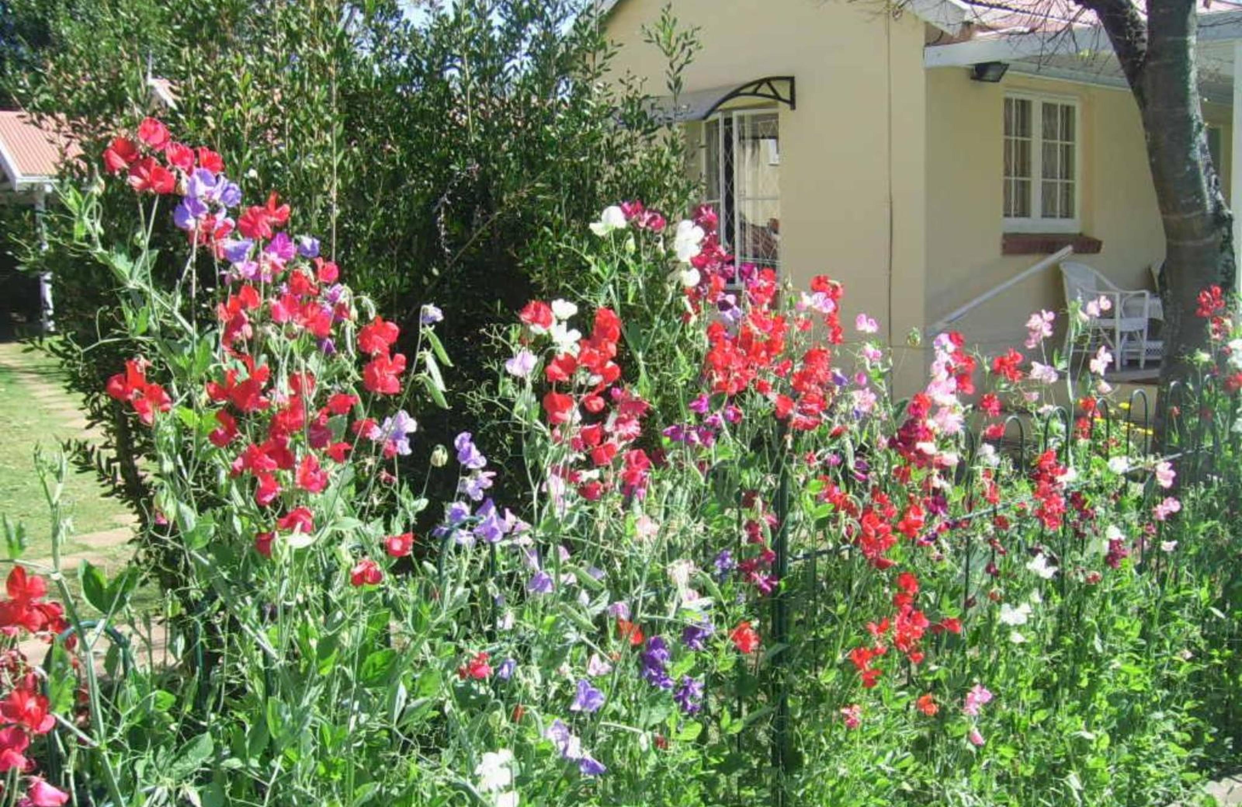 Nutmeg B&B, photo 16