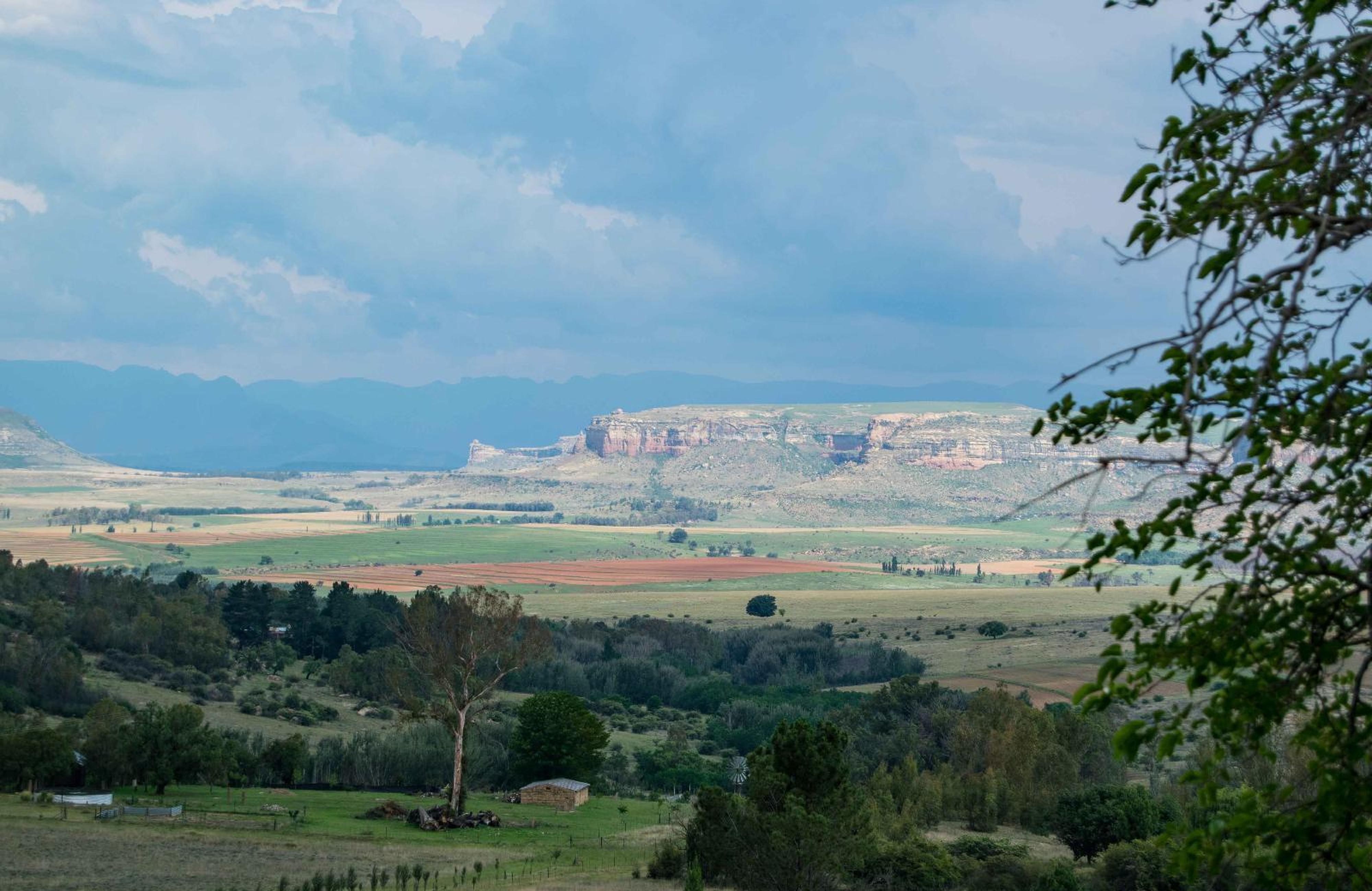 The Fat Mulberry Guest Farm, photo 6
