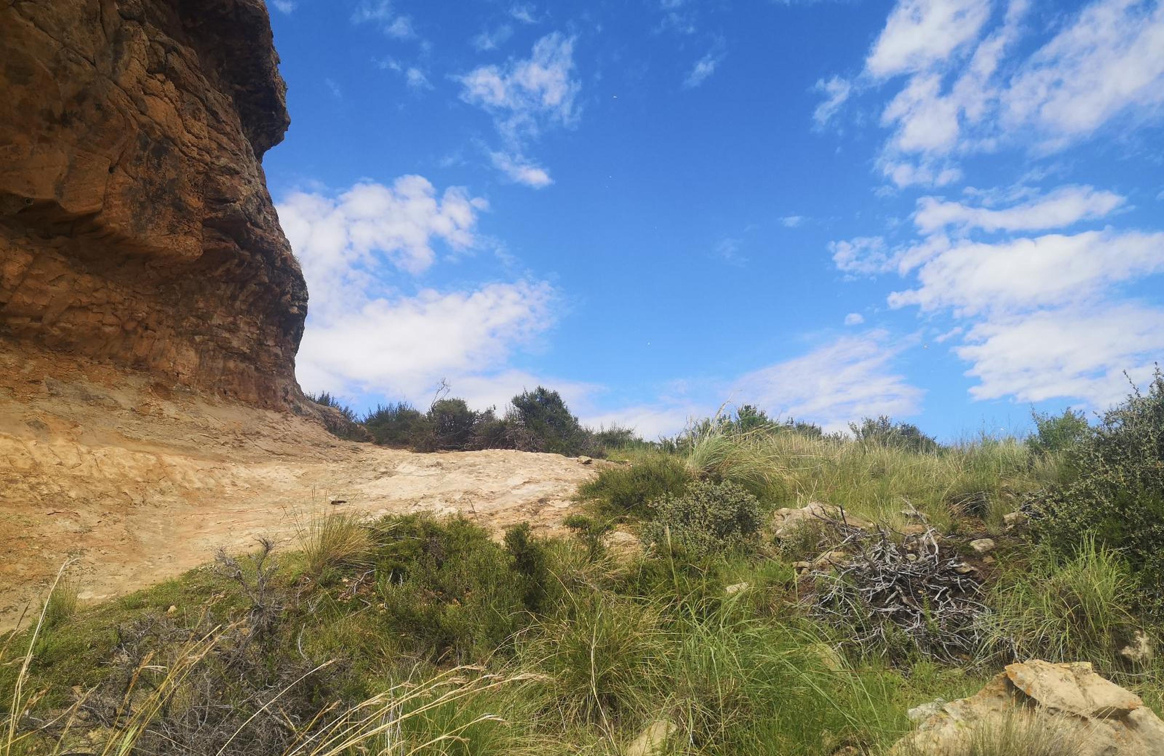 Affi Lande Guestfarm & Wedding Venue, photo 11