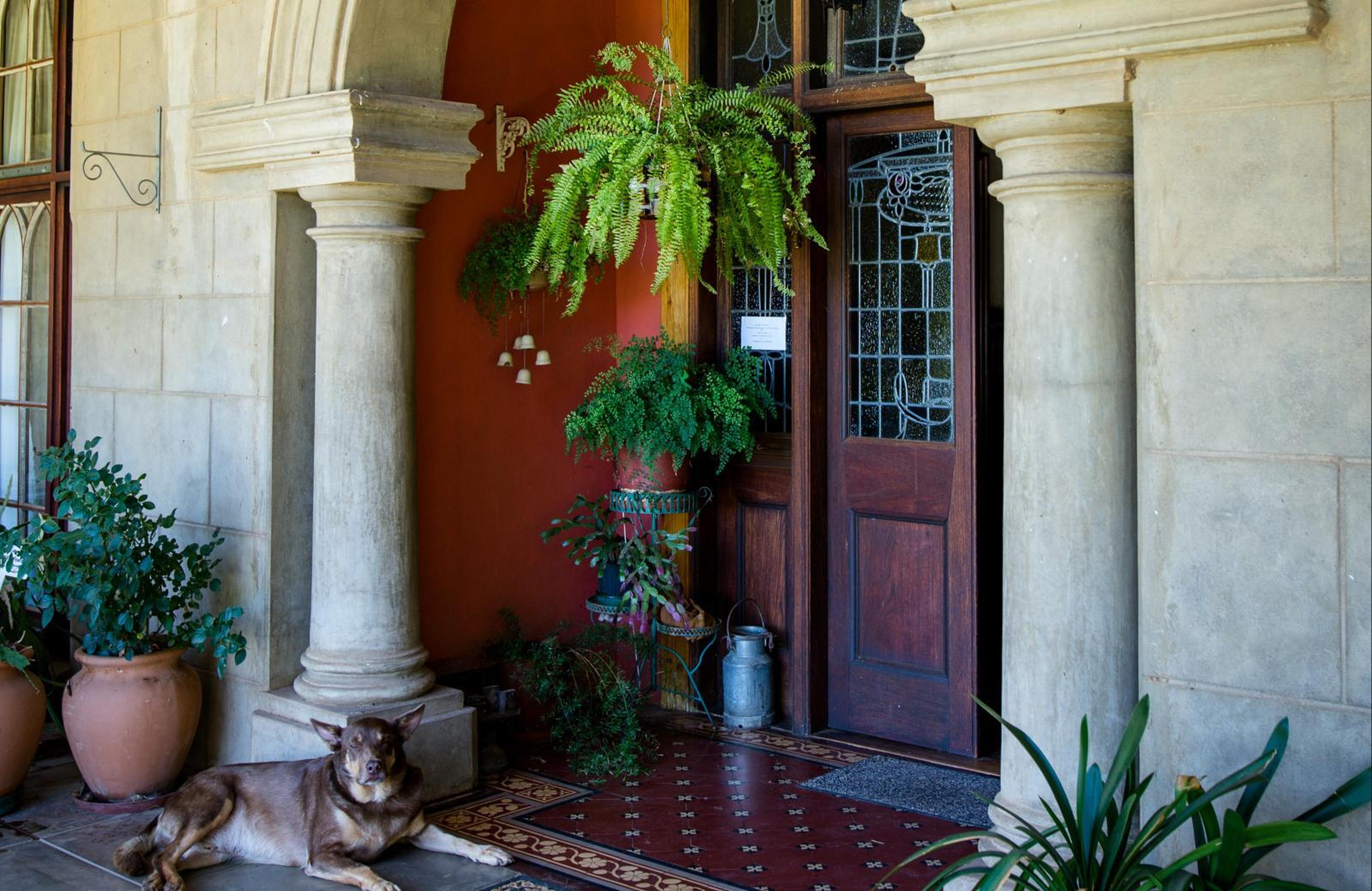 Conville Guest Farm, photo 9
