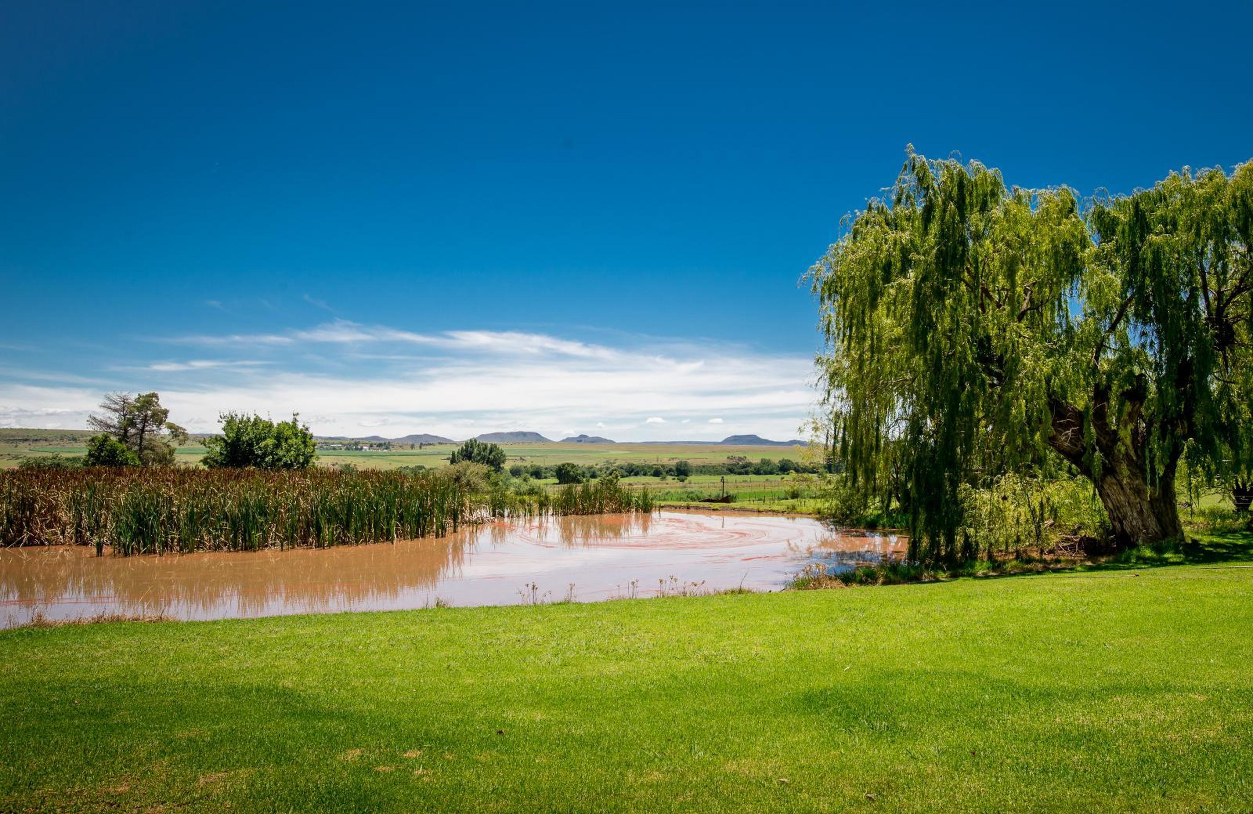 Conville Guest Farm, photo 13