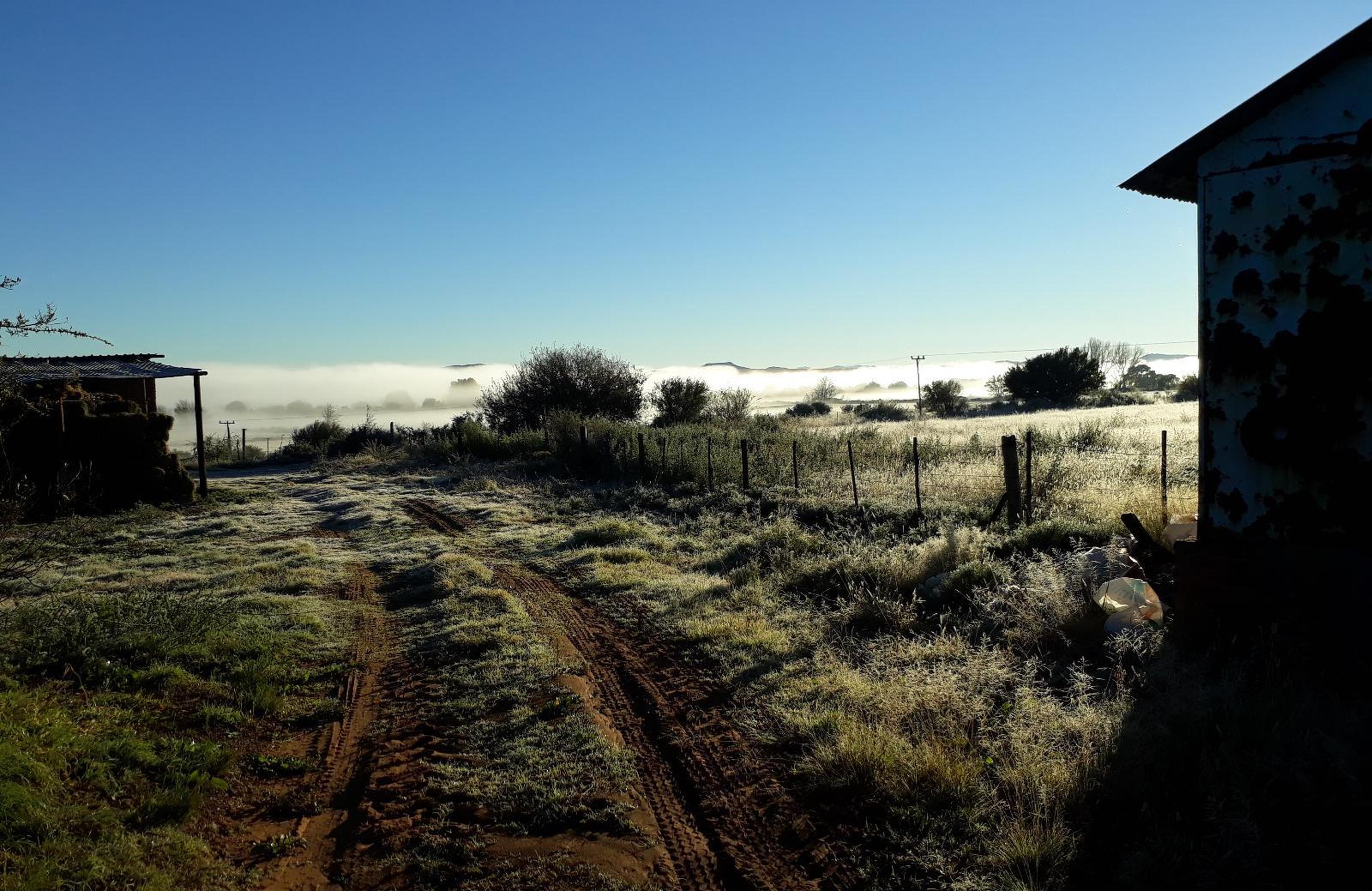 Conville Guest Farm, photo 8