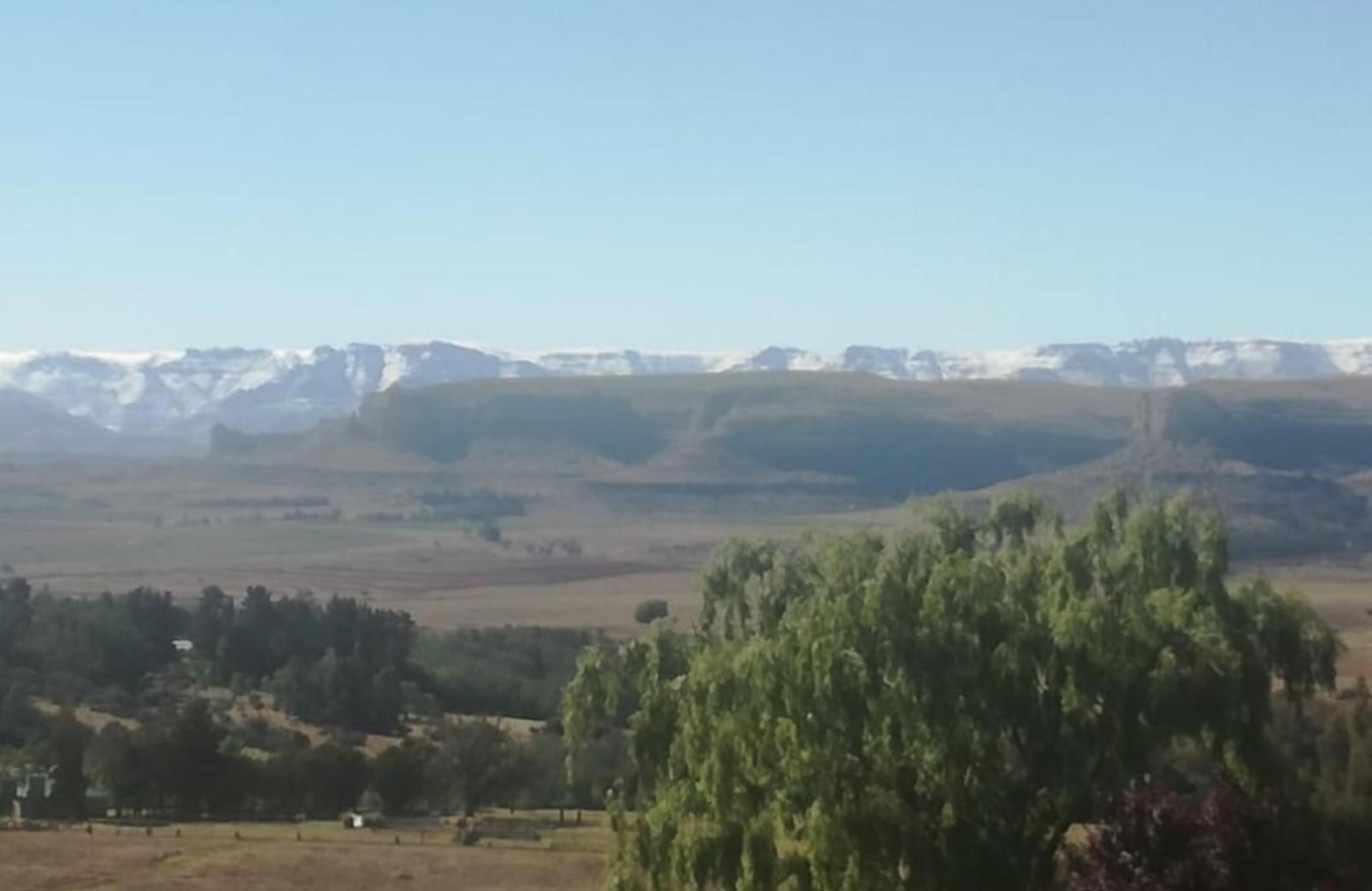 The Fat Mulberry Guest Farm, photo 8