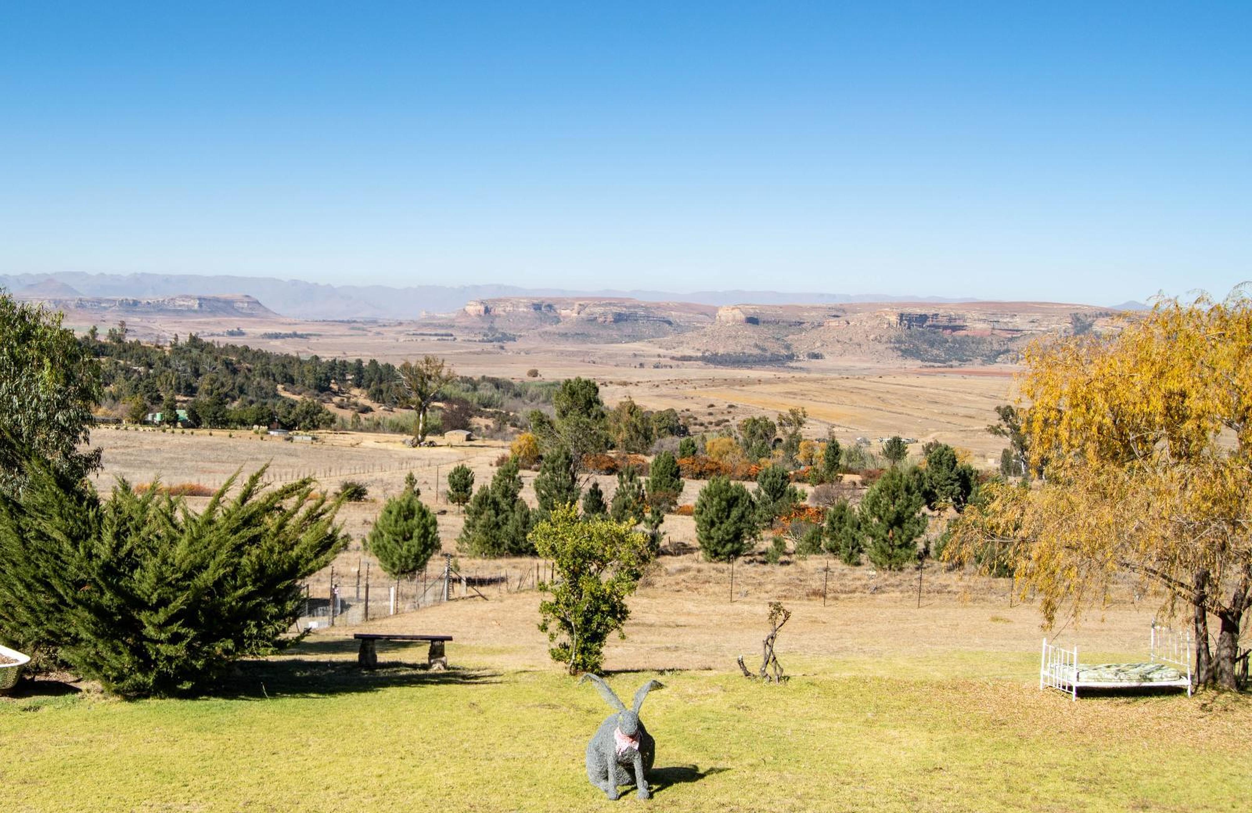 The Fat Mulberry Guest Farm, photo 14