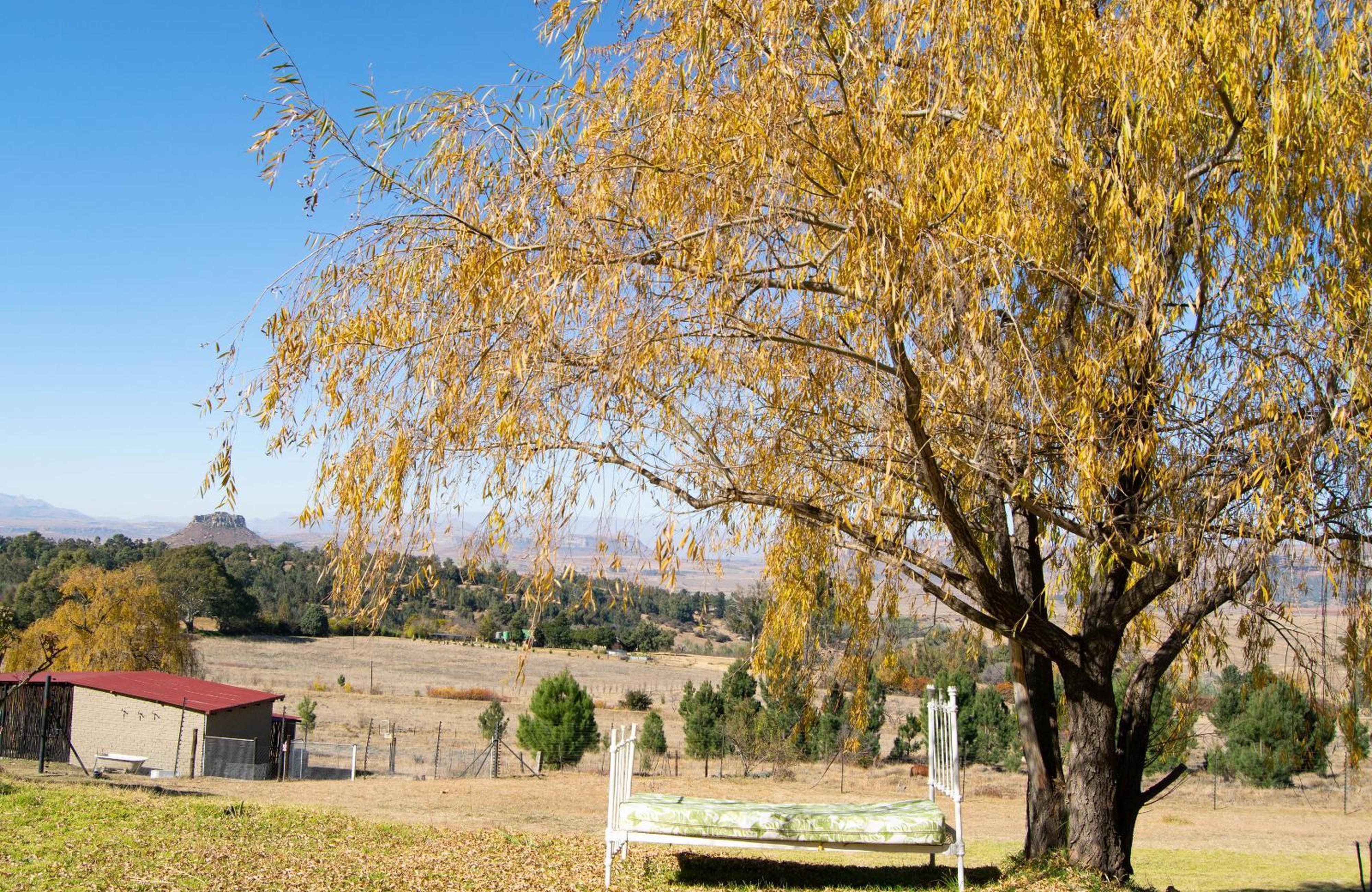 The Fat Mulberry Guest Farm, photo 11