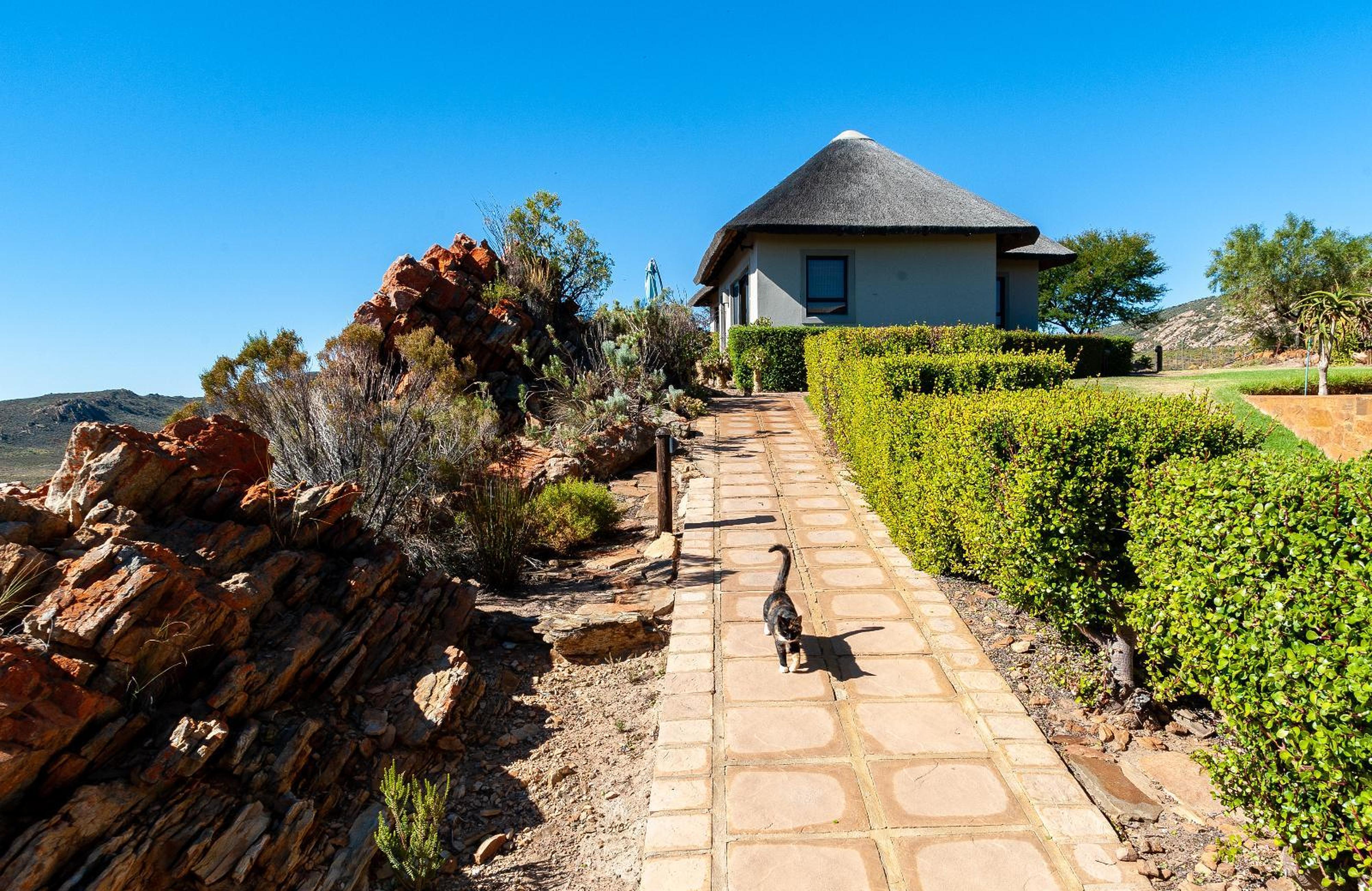 Marinvia Trust T/A Rooilande Guest Farm, photo 16
