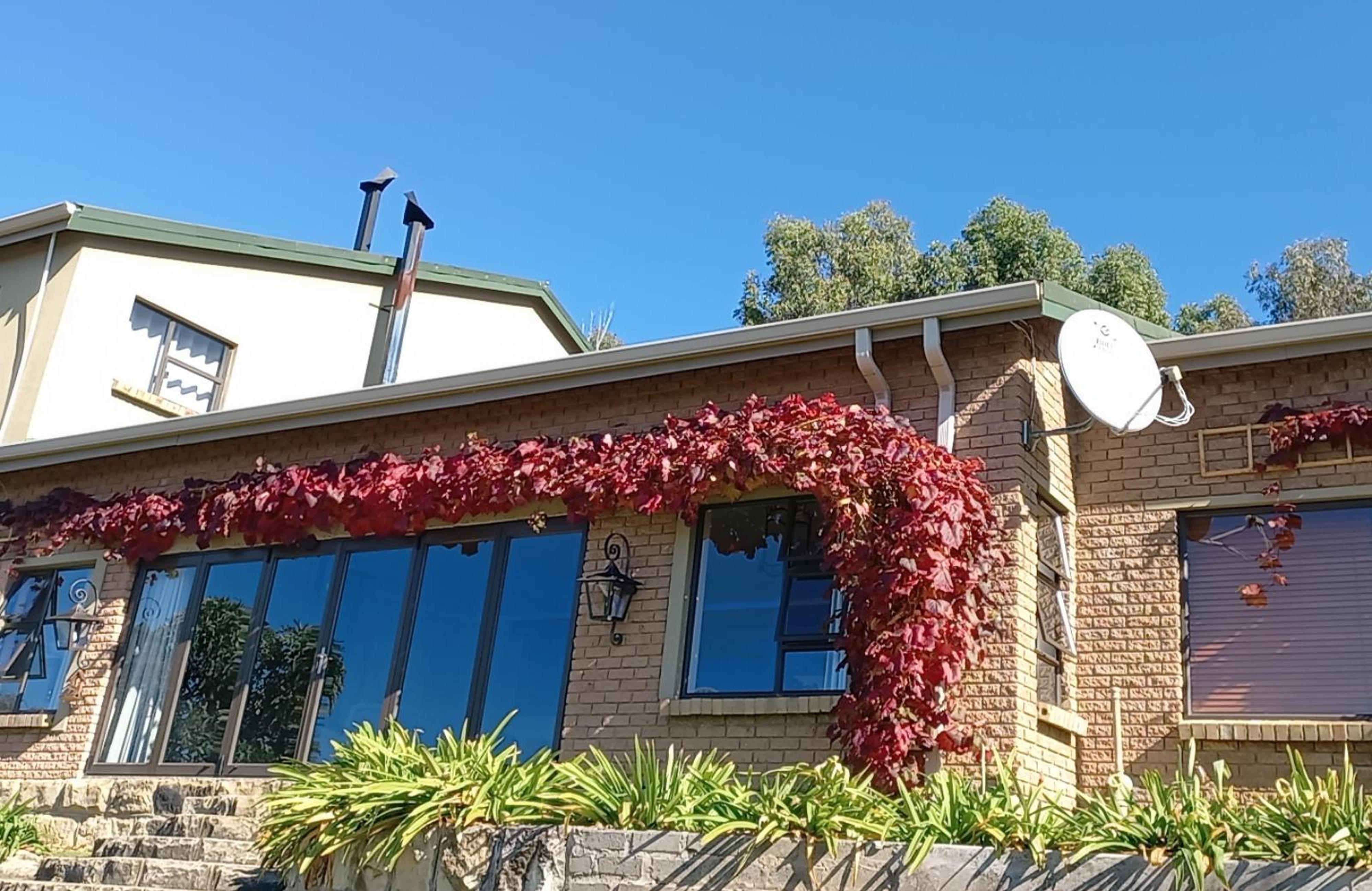 The Fat Mulberry Guest Farm, photo 17