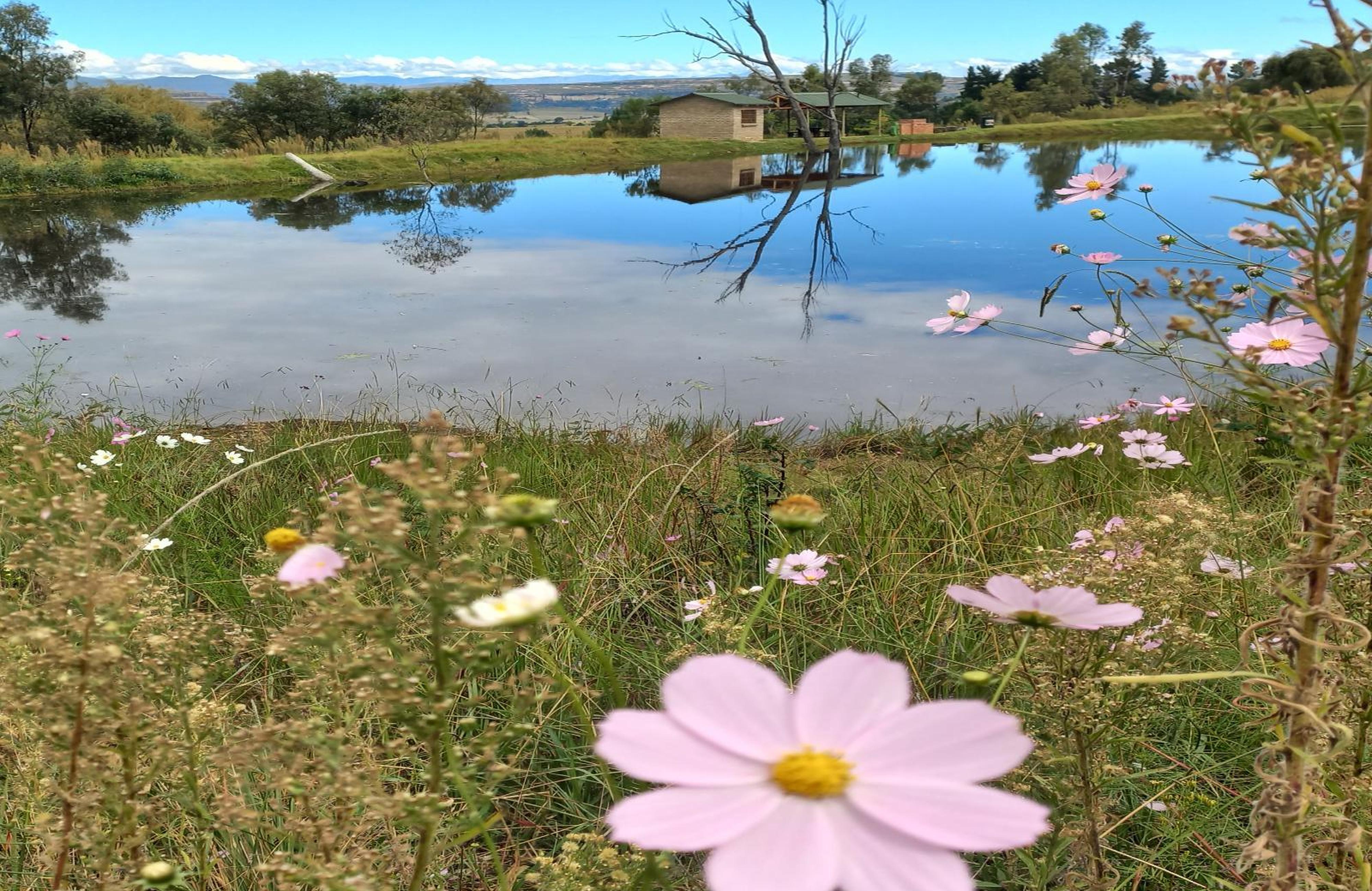 The Fat Mulberry Guest Farm, photo 5
