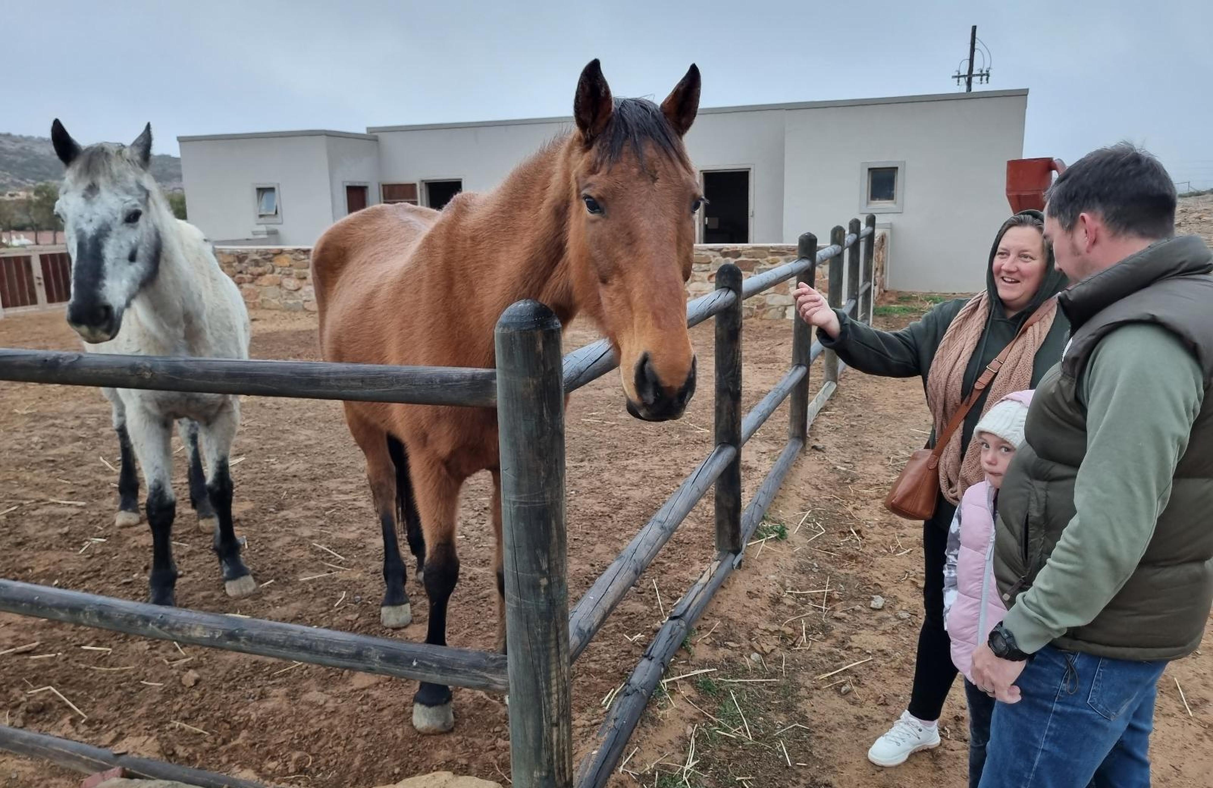 Marinvia Trust T/A Rooilande Guest Farm, photo 9