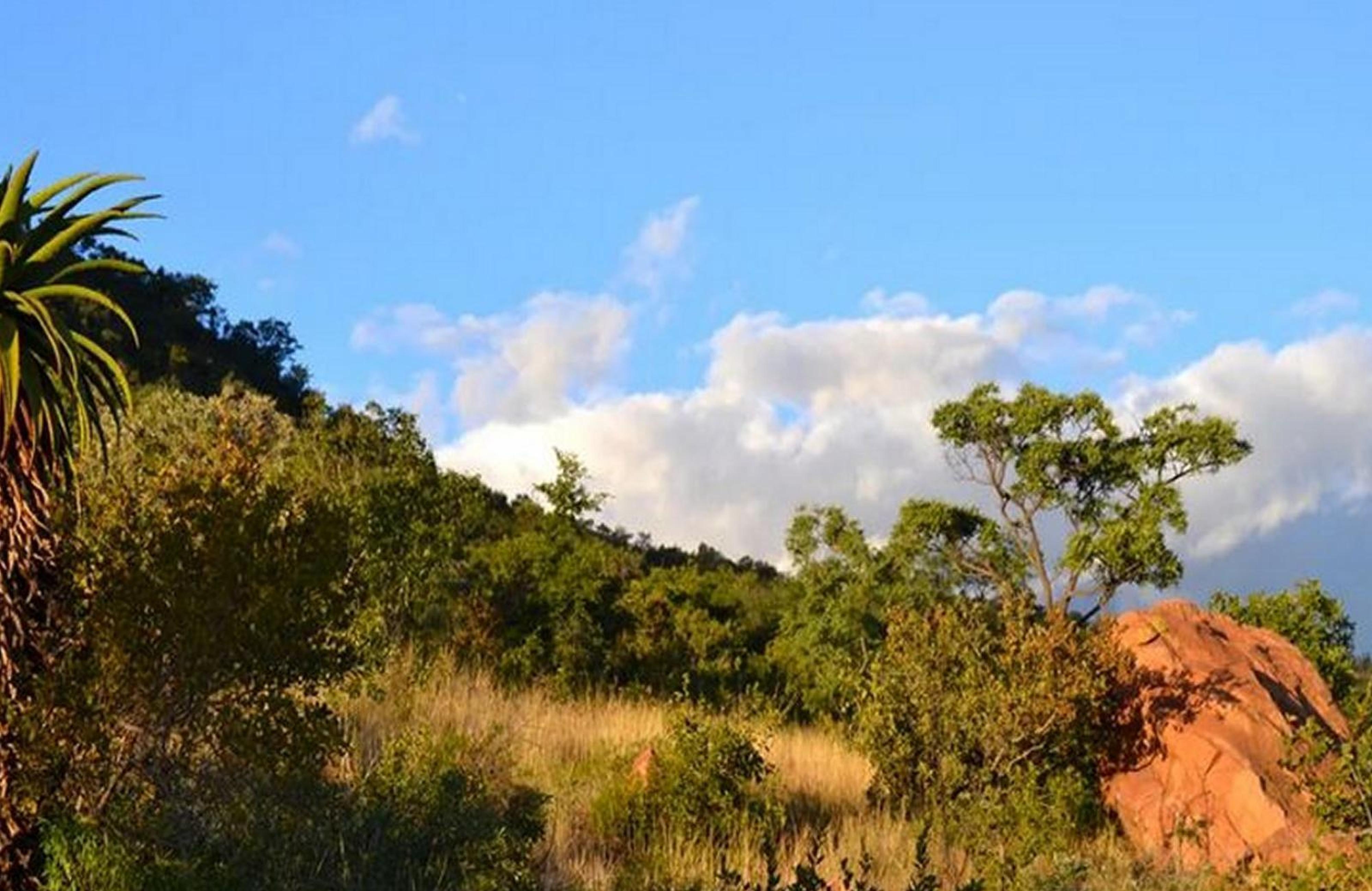 Waterberg Hideaway, photo 2