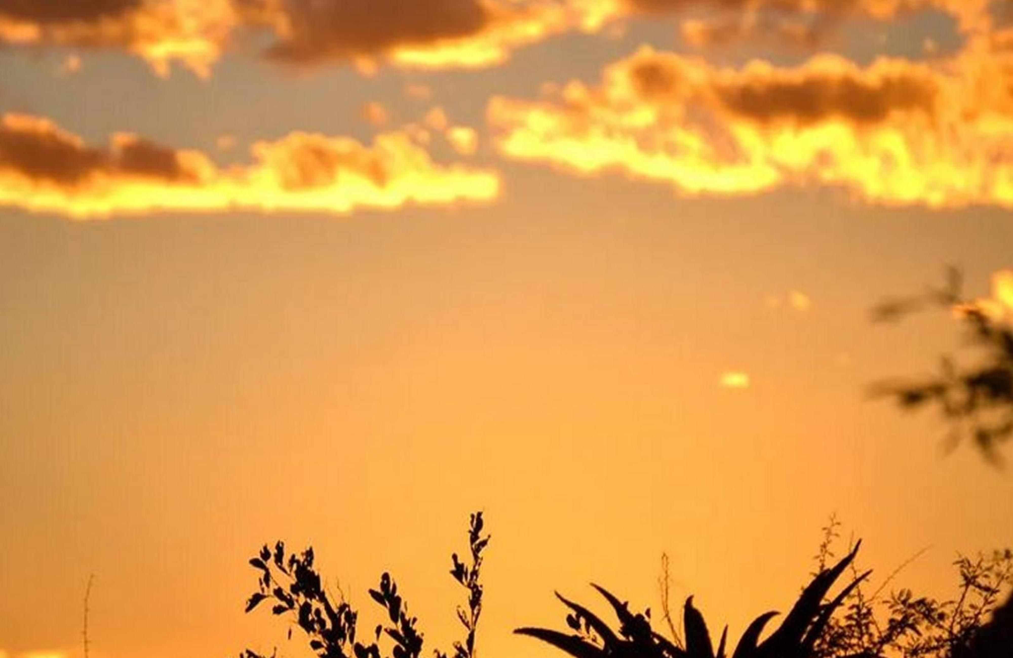 Waterberg Hideaway, photo 11