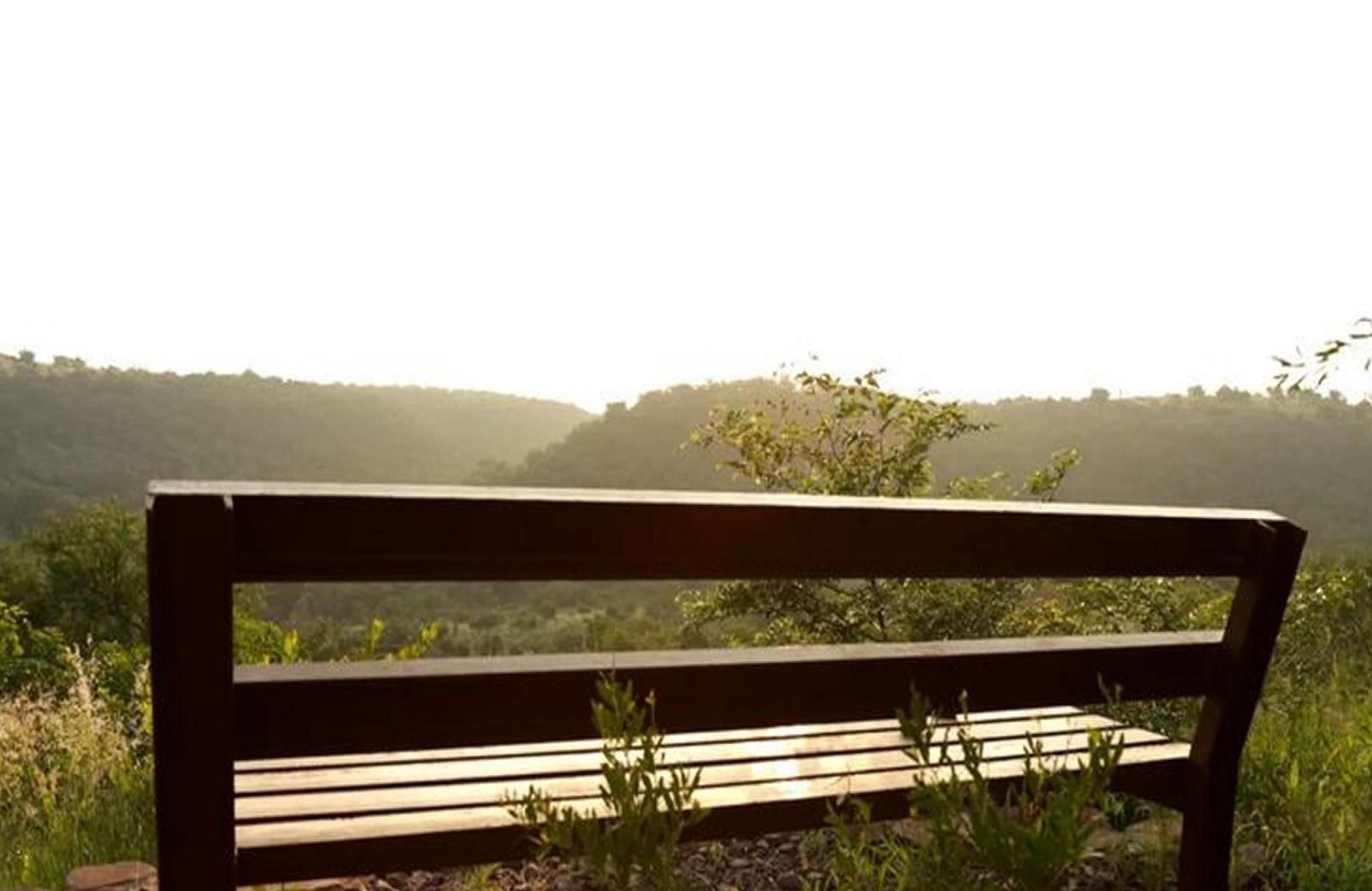 Waterberg Hideaway, photo 5