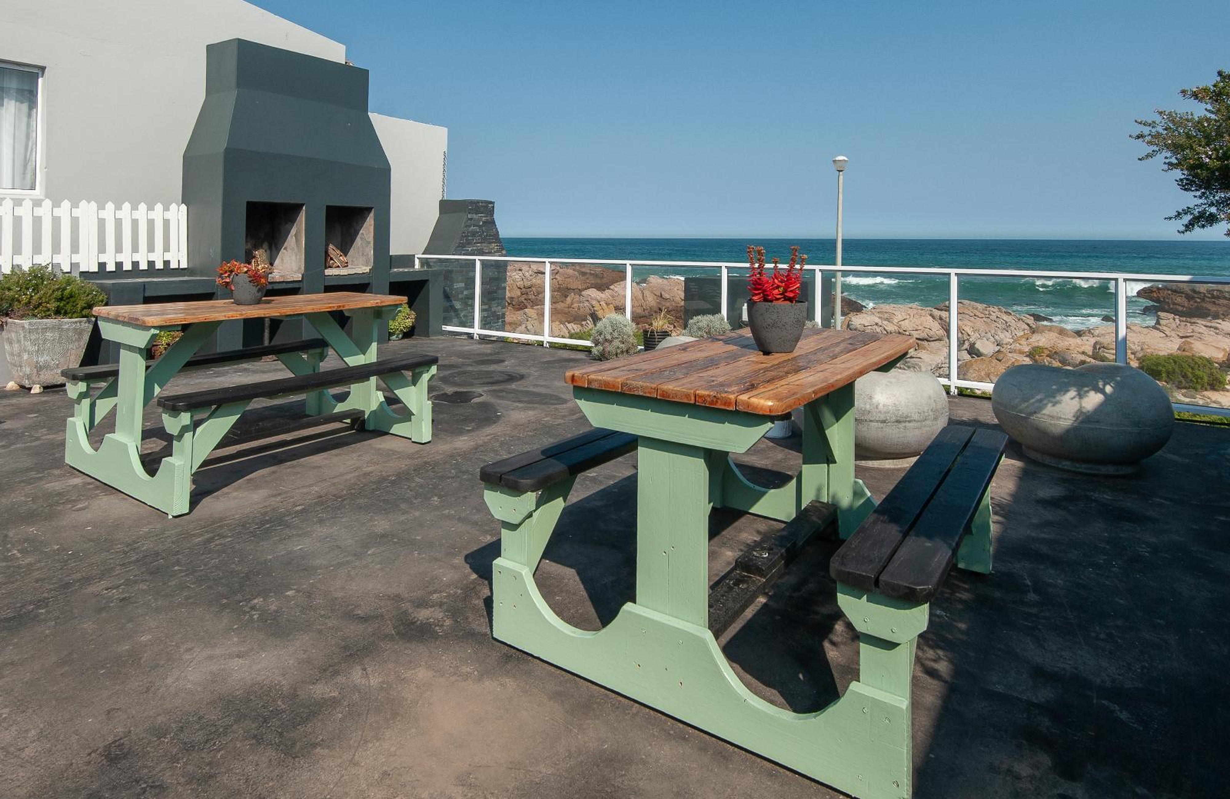 Albatros, photo 14