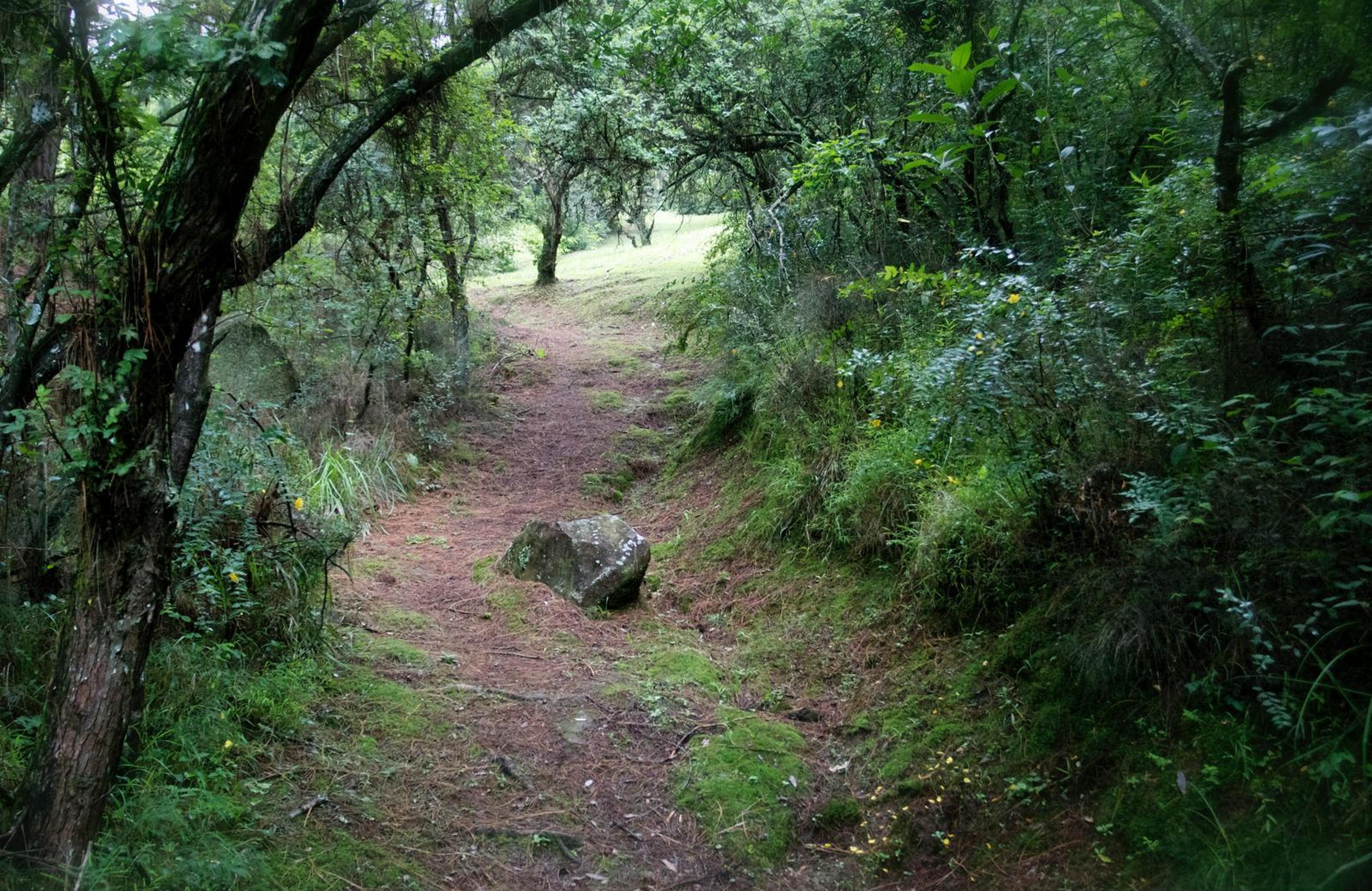 Woodcroft, photo 10