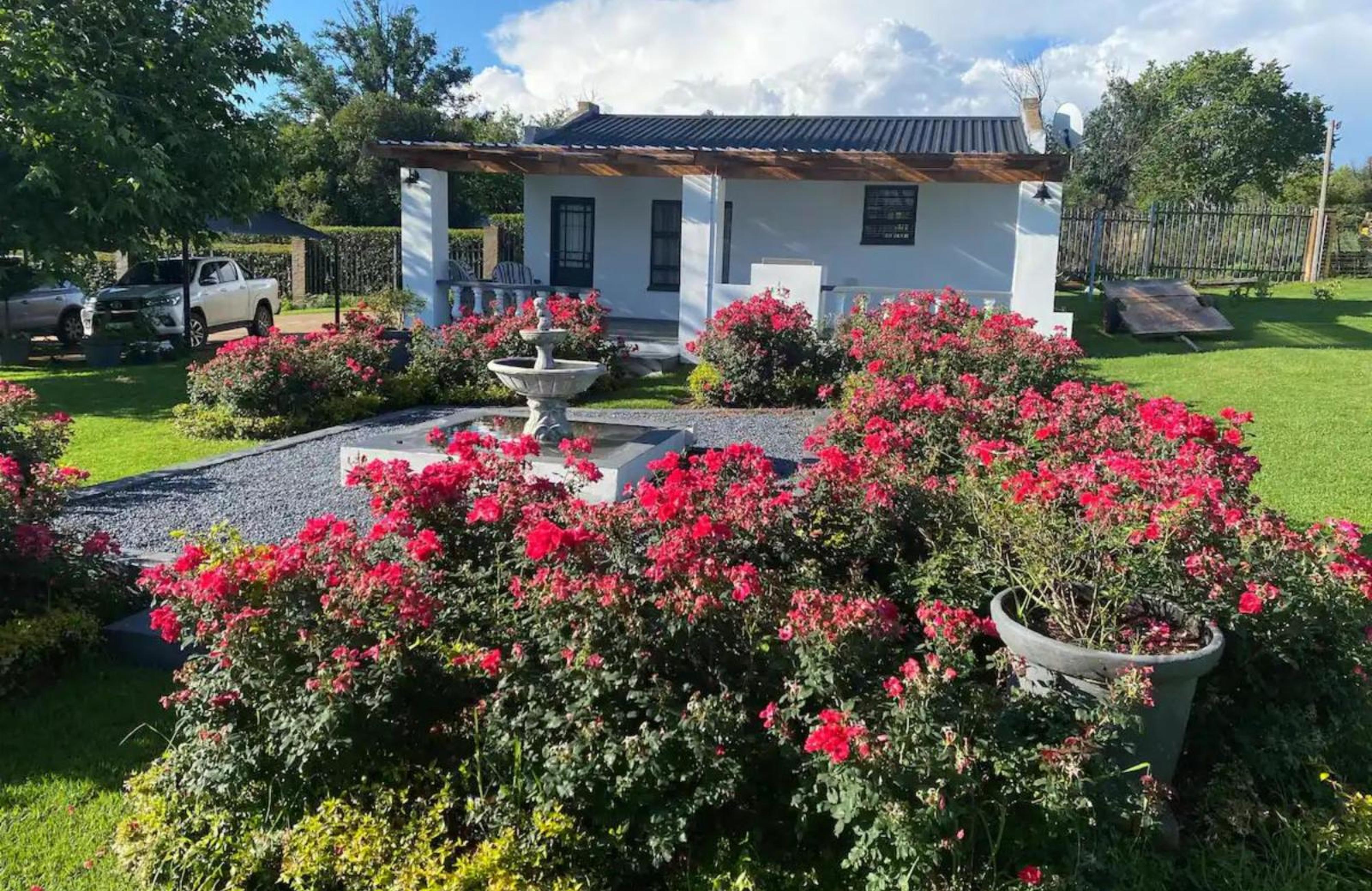 Steenkoppies Estate, photo 10