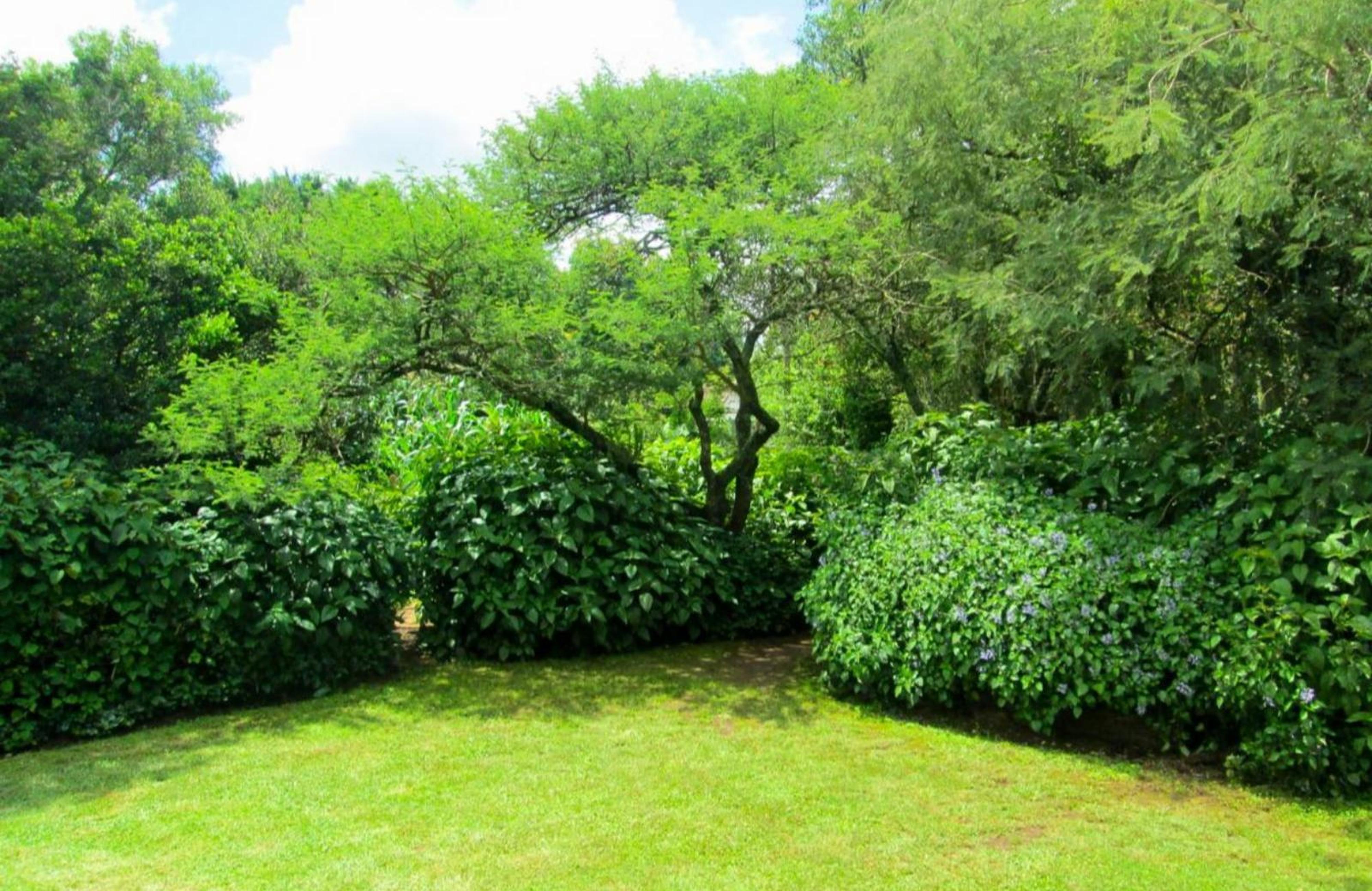 Howick Greendale Self-catering, photo 16