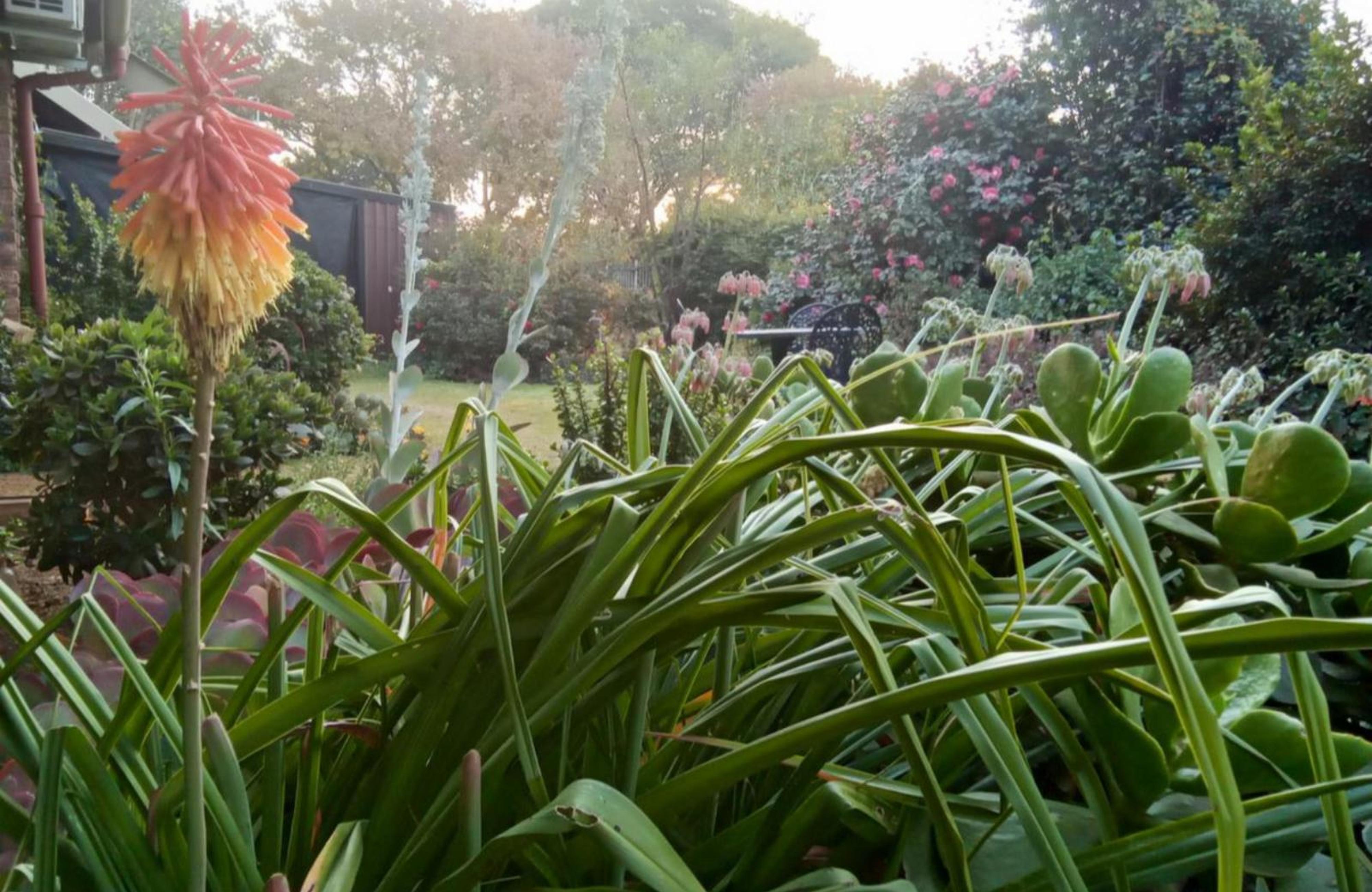 Howick Greendale Self-catering, photo 7