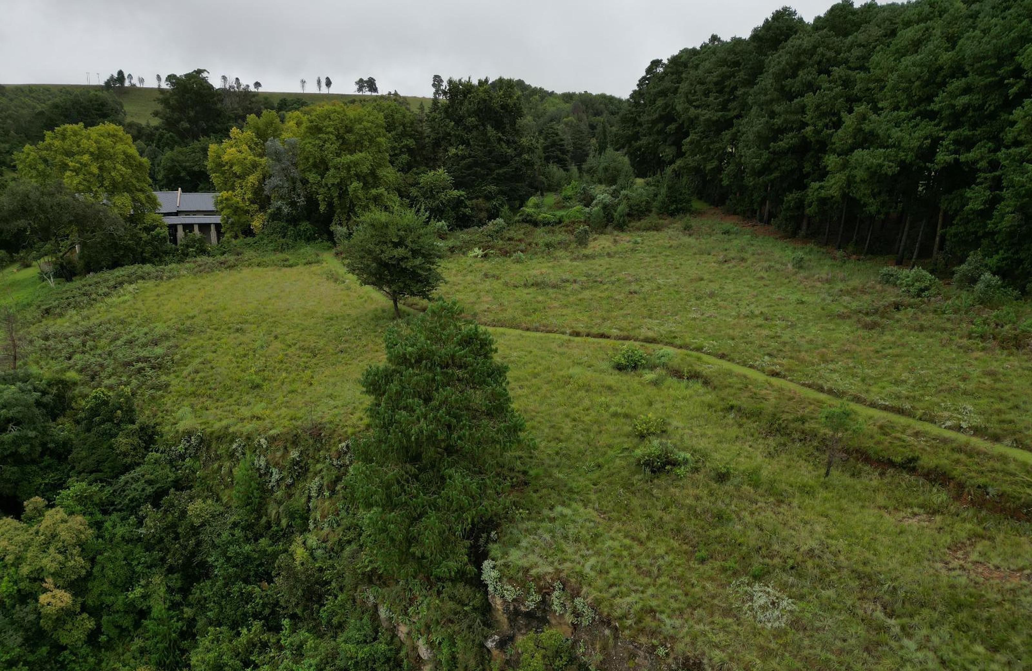 Drakenzicht, photo 23