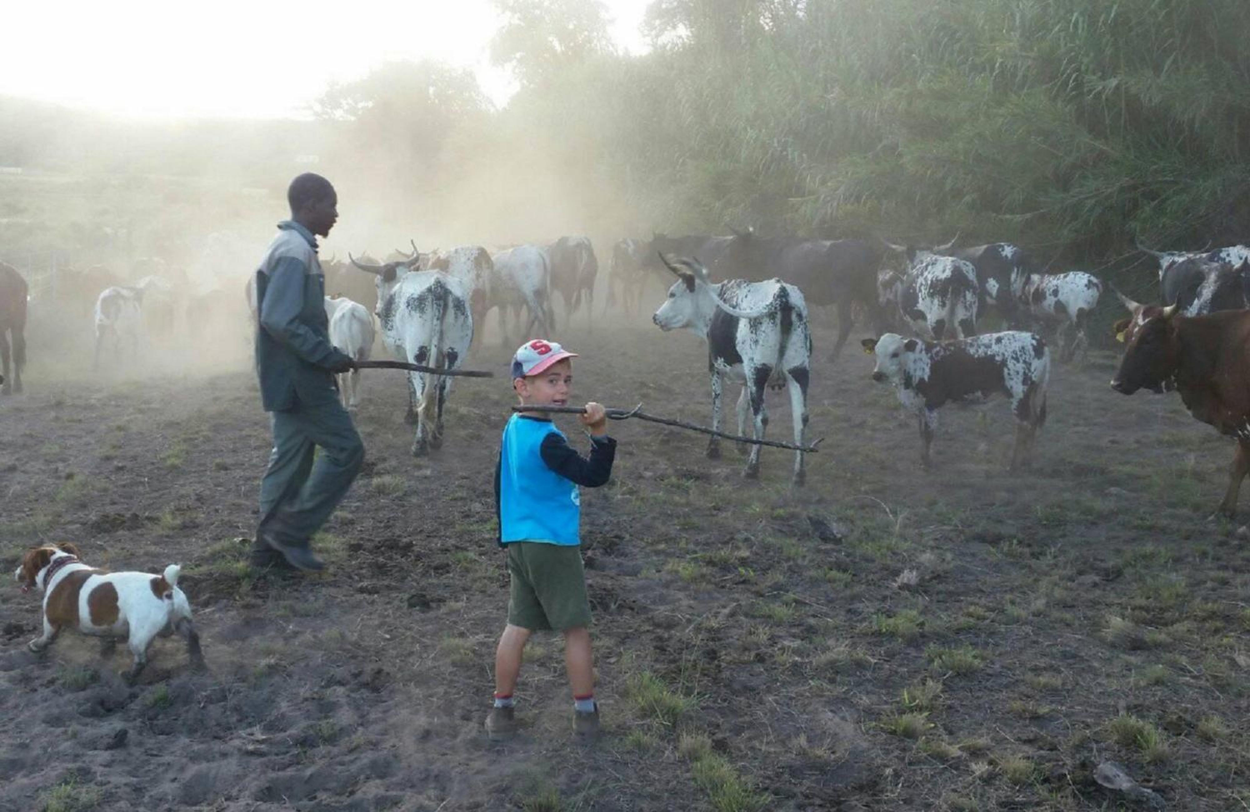 NGUNILAND, photo 15