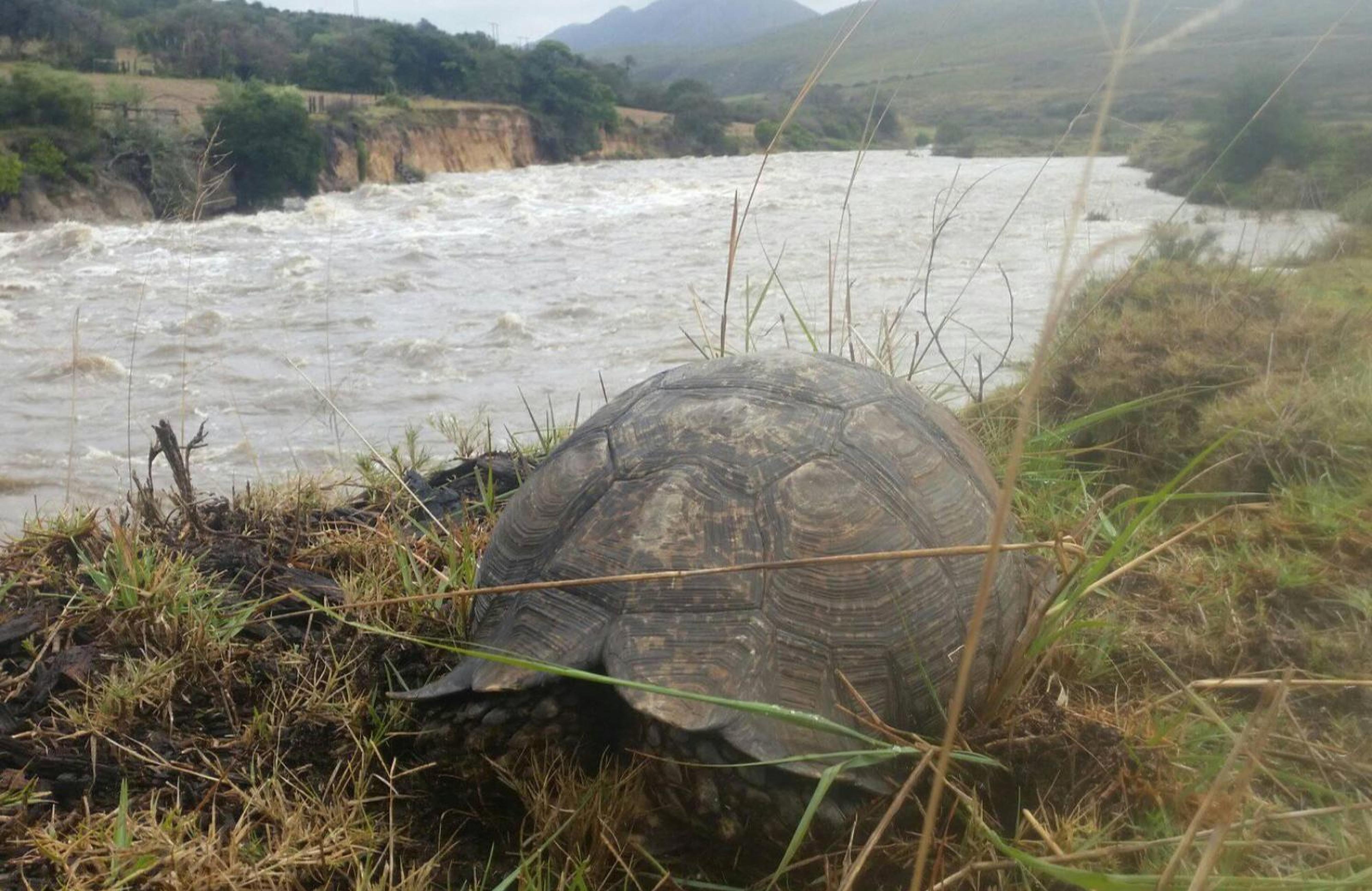 NGUNILAND, photo 11