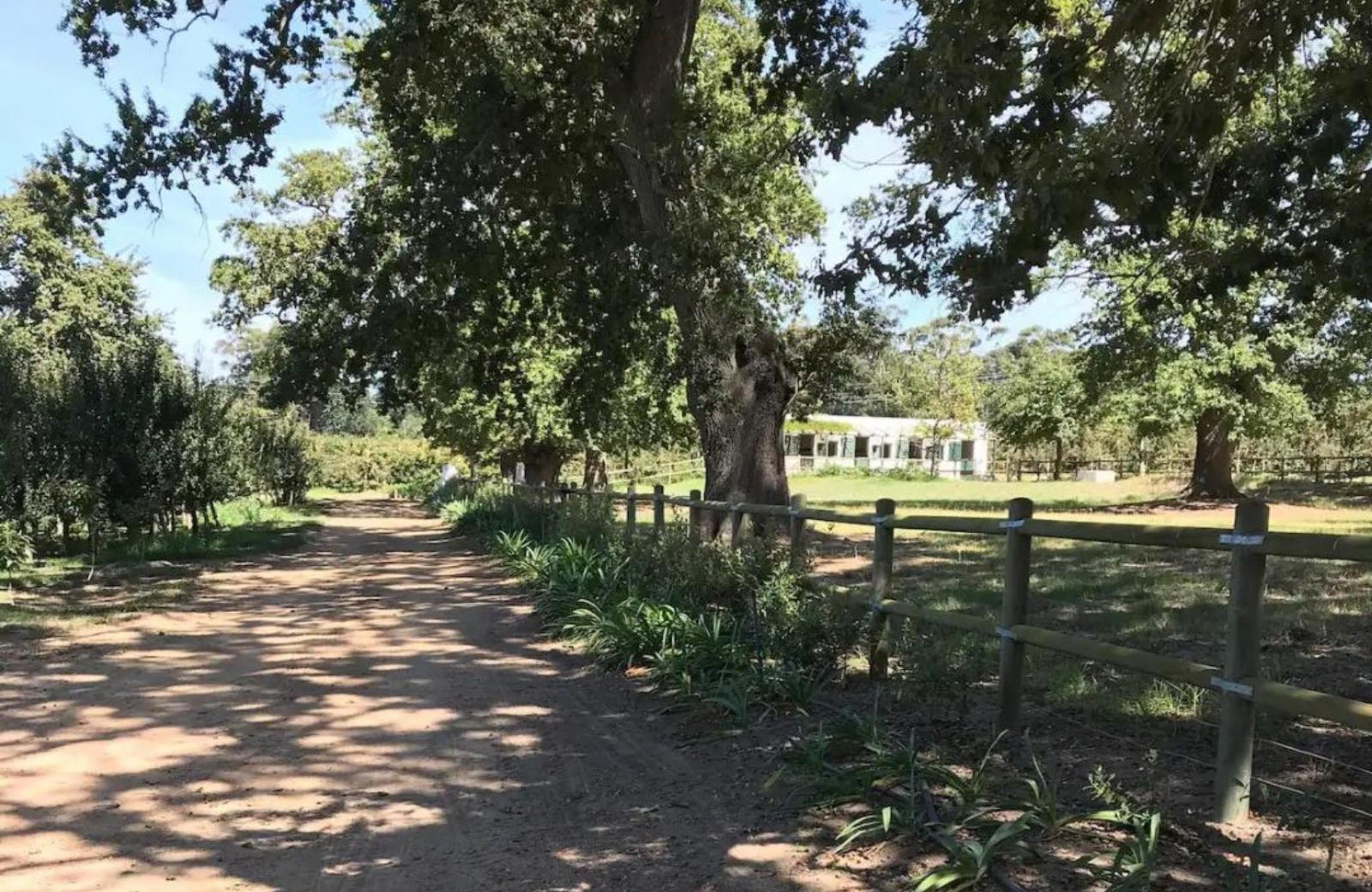 Vredenhof Farm Cottage, photo 11