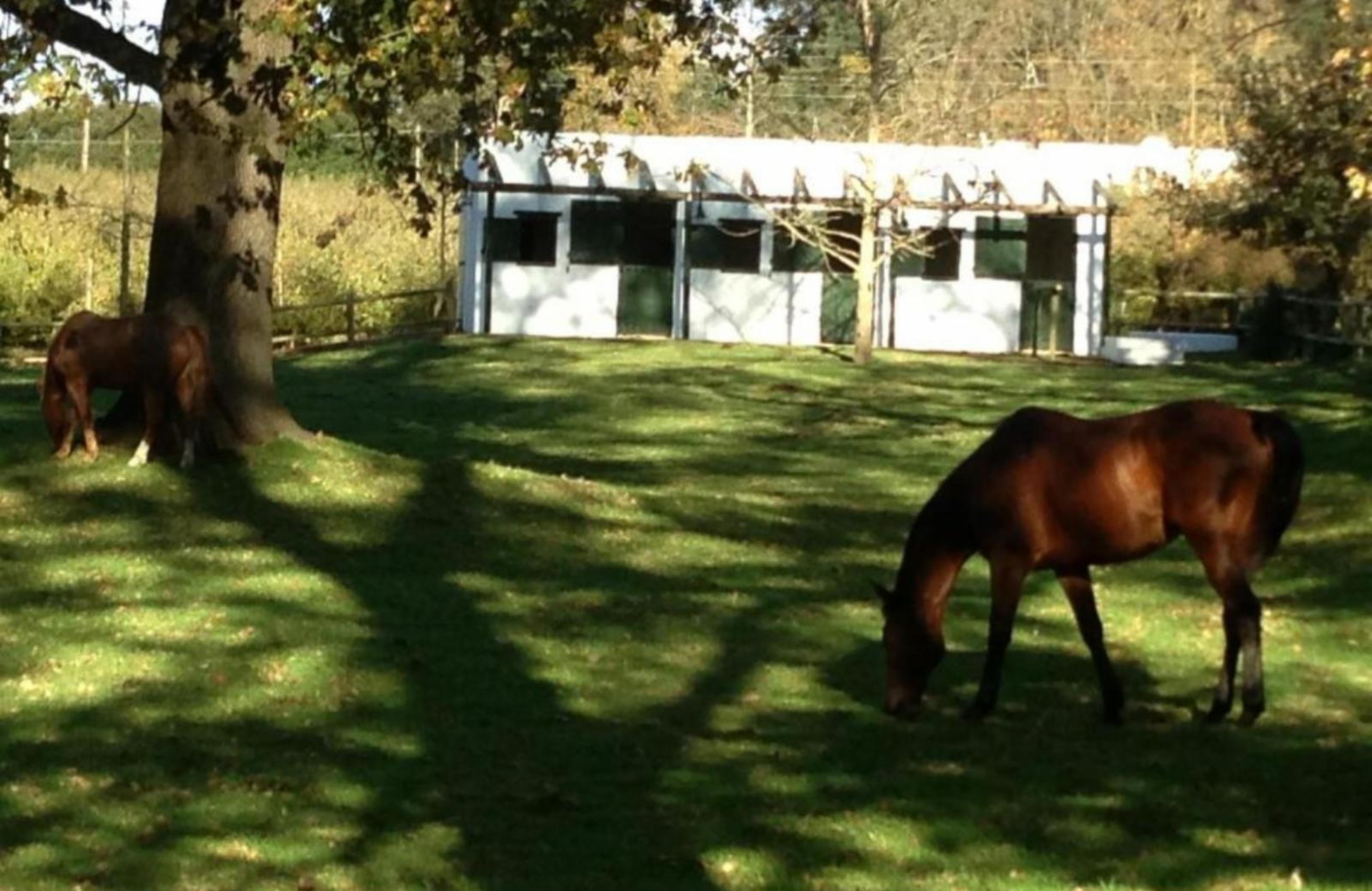 Vredenhof Farm Cottage, photo 2