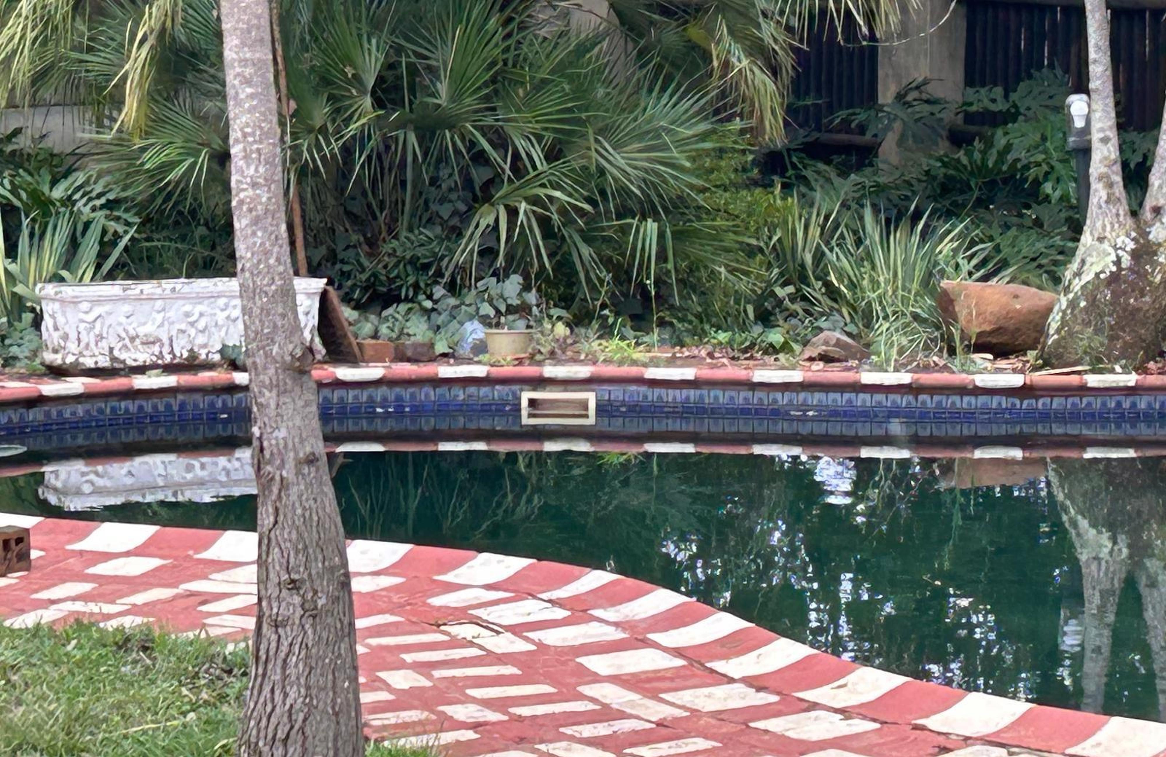 Andre's Place, photo 7