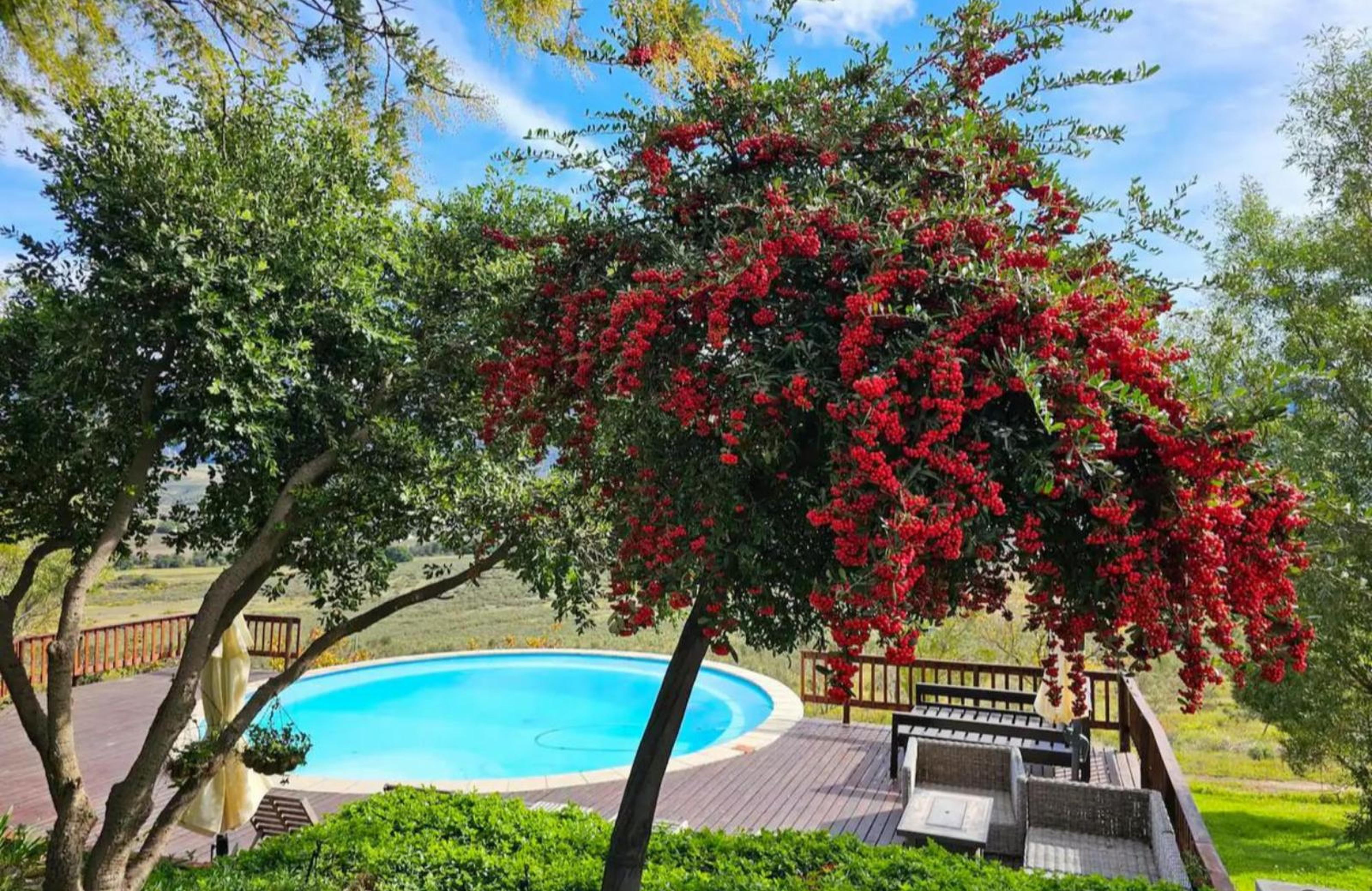 Paradise in the Winelands, photo 8