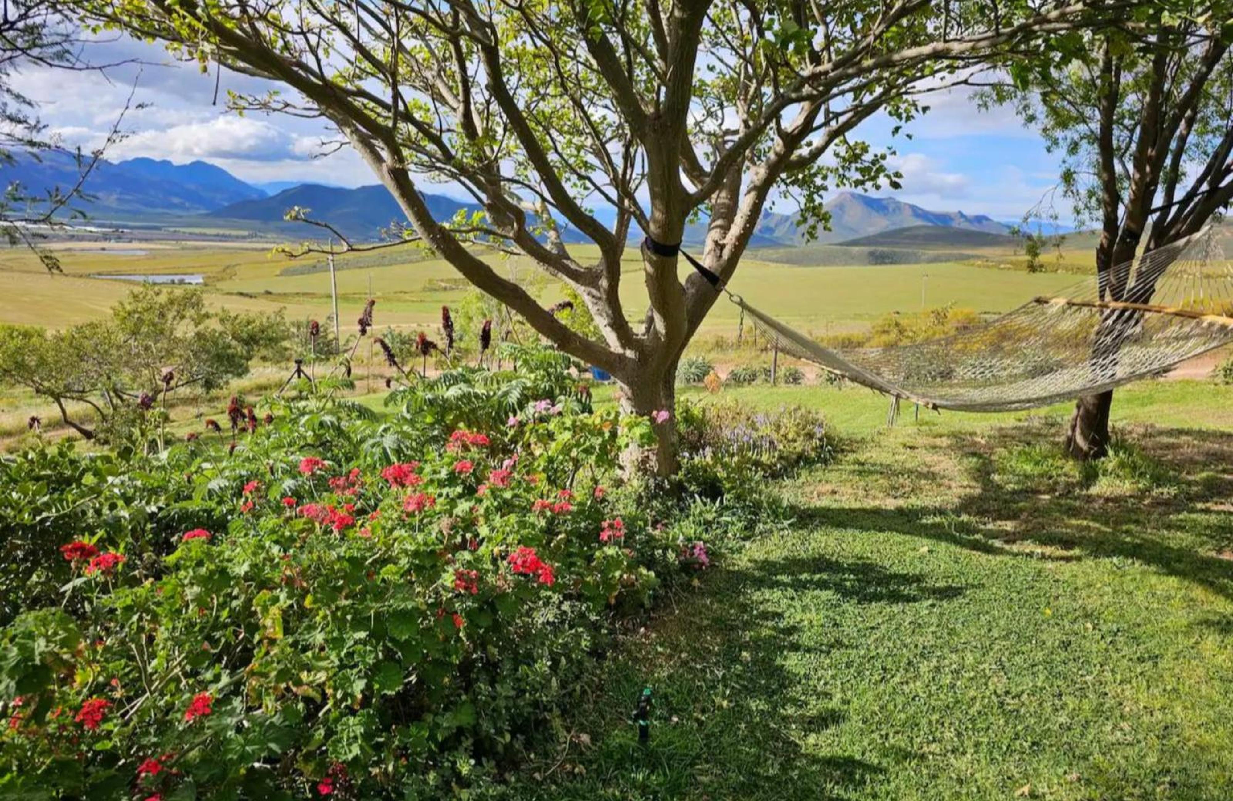 Paradise in the Winelands, photo 17